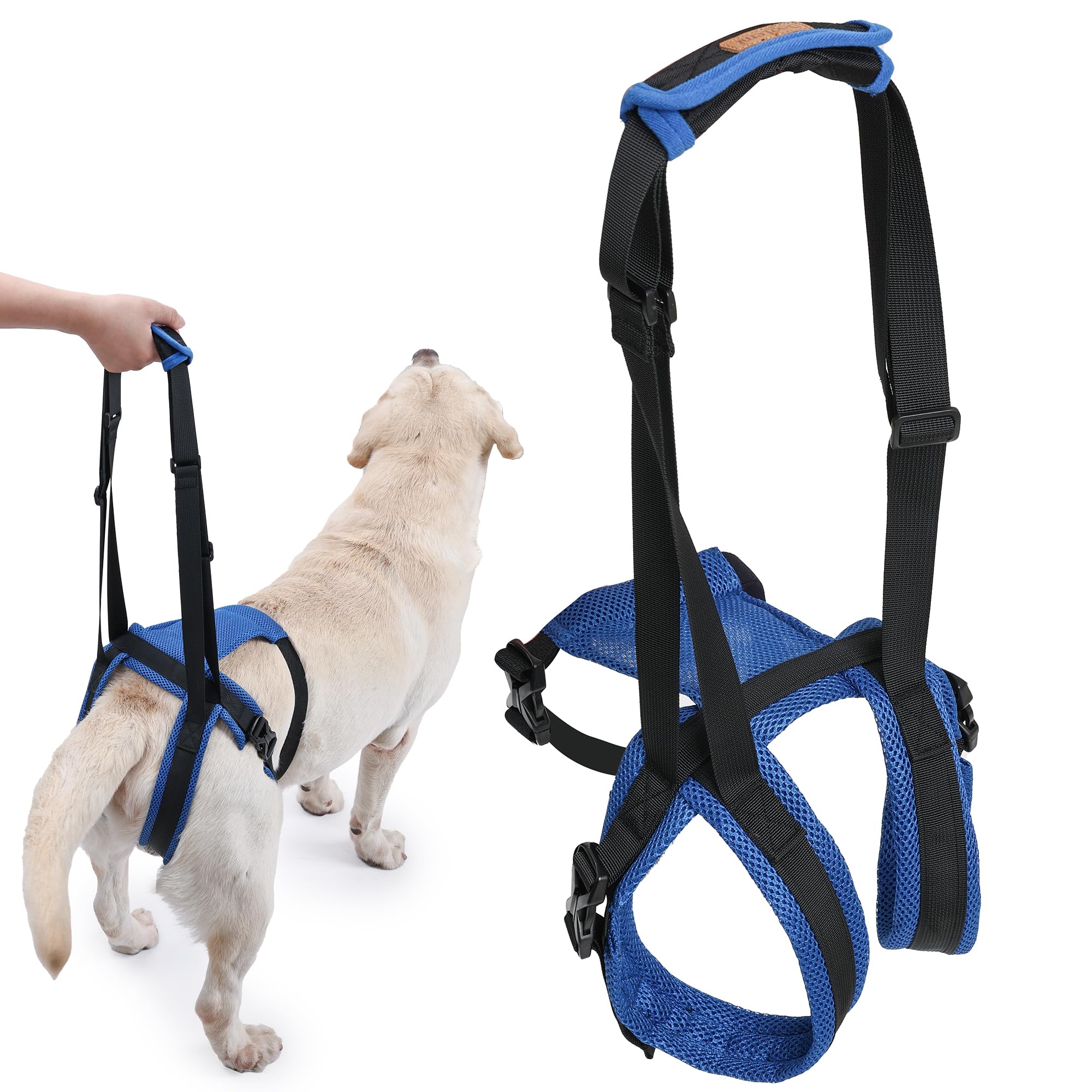 Duuclume Dog Lifting Harness, Soft Adjustable Support Harness for Back Legs with Lift Handle, Weak Hind Legs for Surgery, Injury, Elderly Dog (S)