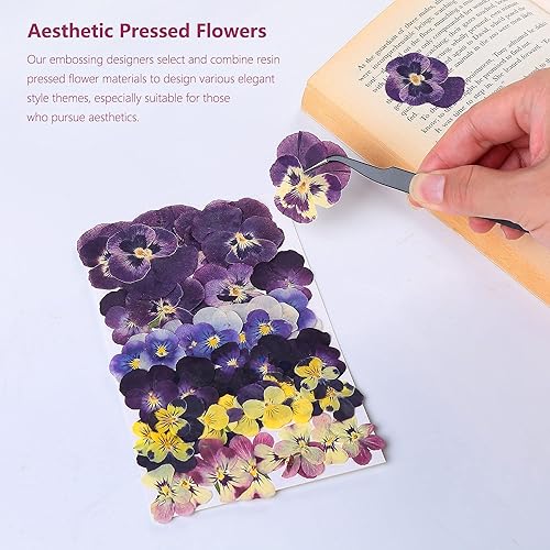 Miniatura 5 de Mezcla de flores secas prensadas naturales para decoración de pasteles, flores secas reales para hacer joyas de resina, manualidades artísticas de