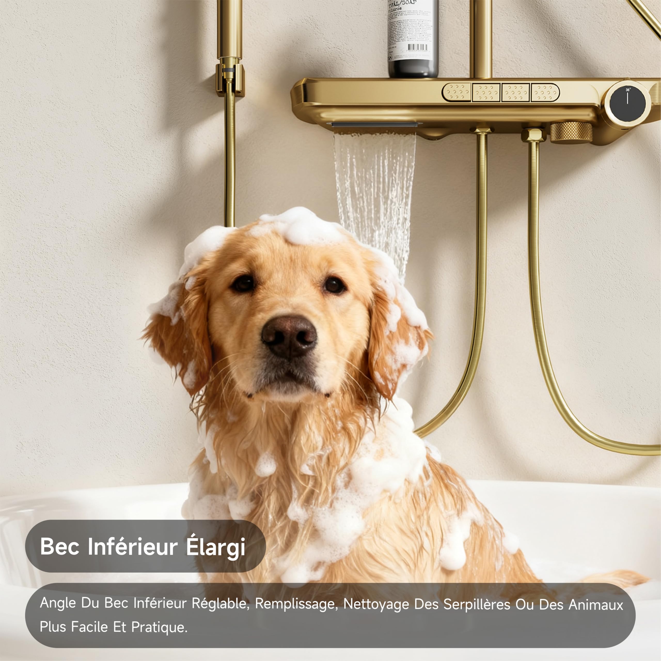 Colonne de douche, or brossé, colonne de douche thermostatique | Système de douche à 4 fonctions avec une pomme de douche 350 × 220 mm, une douchette, un pistolet et une sortie d'eau basse