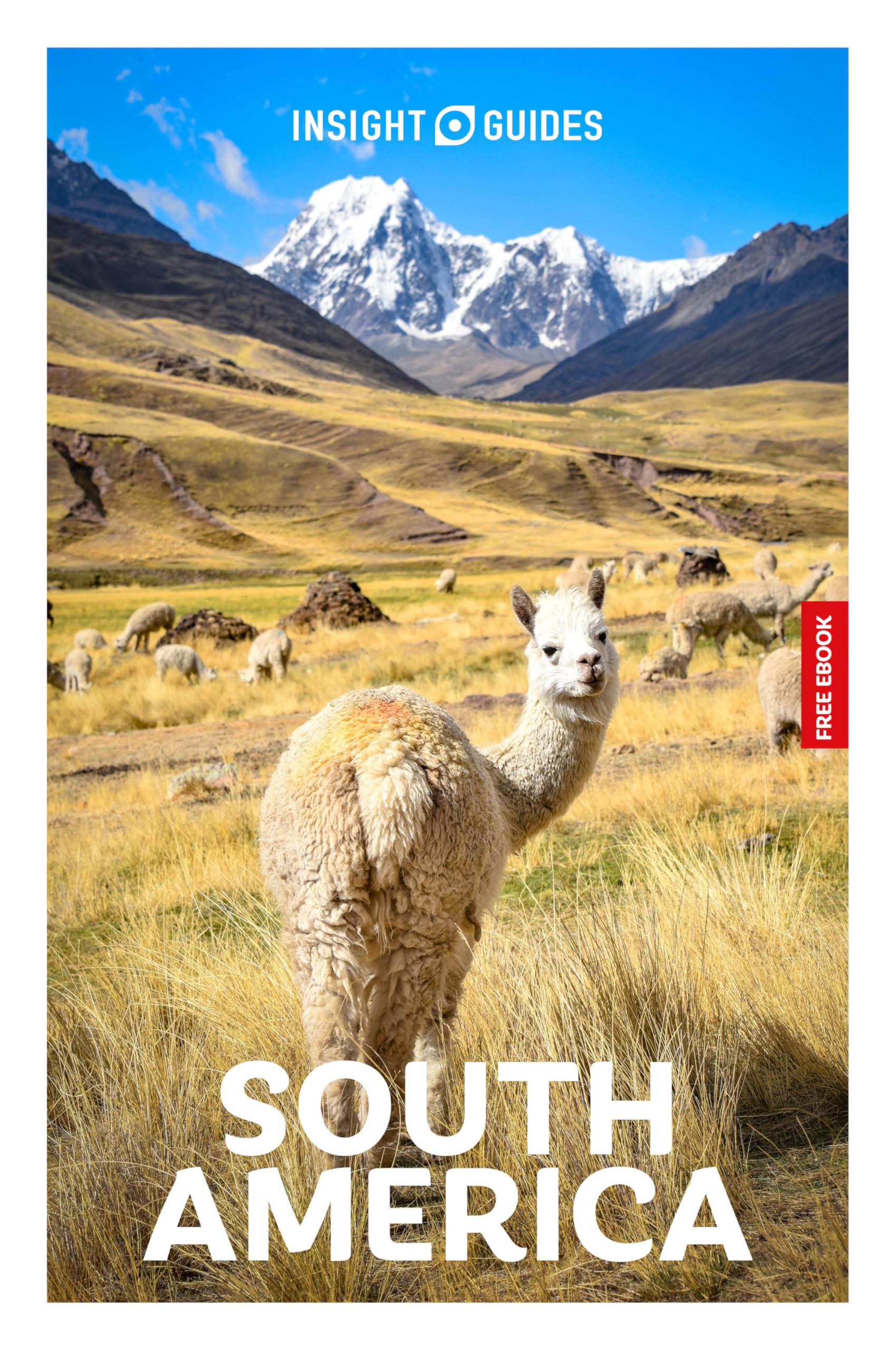 Insight Guides South America: Travel Guide with eBook (Insight Guides Main Series)