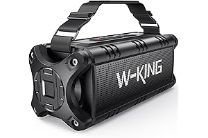 W-KING D8 Bluetooth Speaker: Outdoor Wireless Audio Powerhouse
