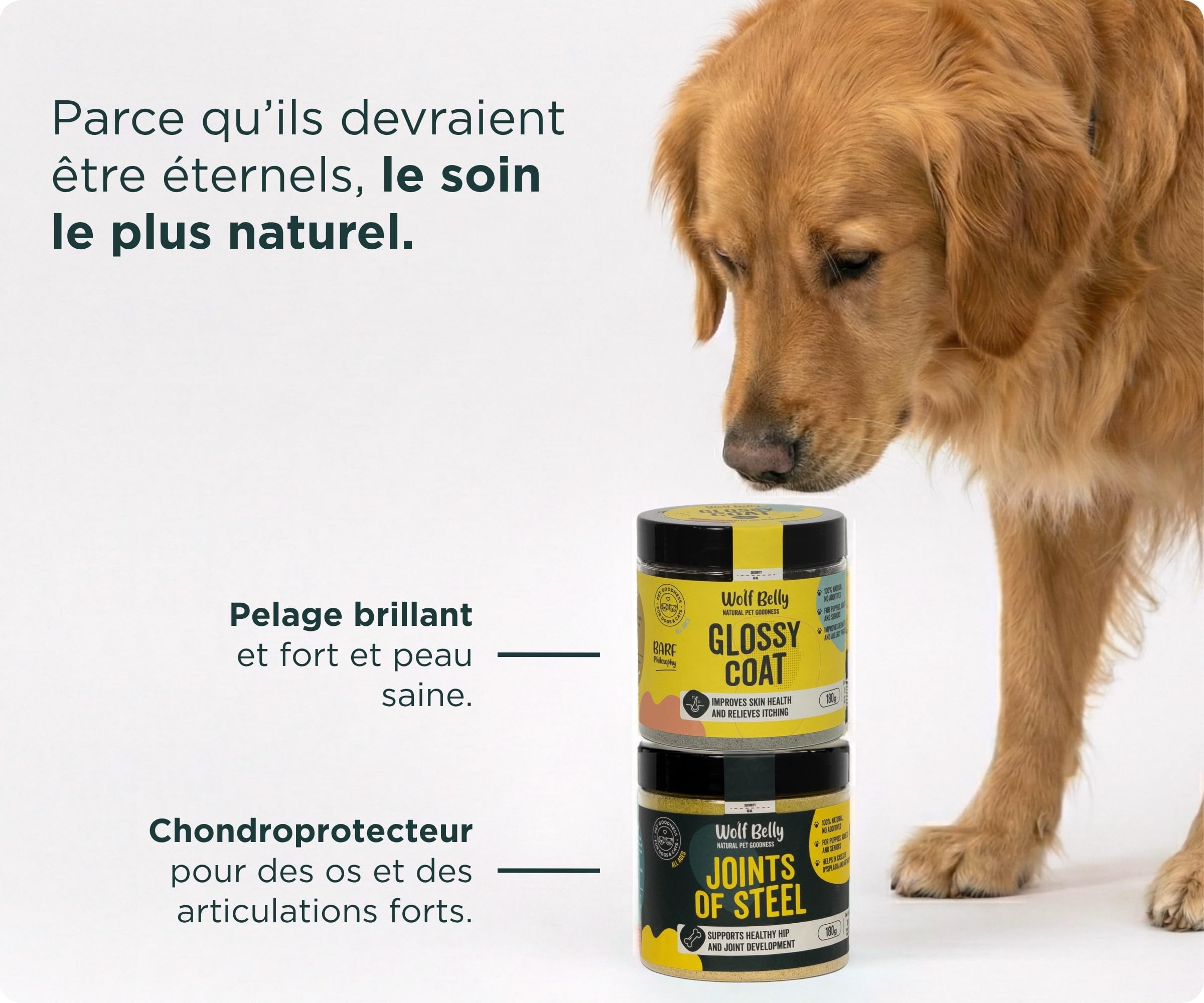 Wolf Belly - Pack Complément Articulations et Peau 100% Naturel (180 g) | Chondroprotecteur + Anti-démangeaisons | pour Chiens et Chats | Format en Poudre - Fabriqué en UE