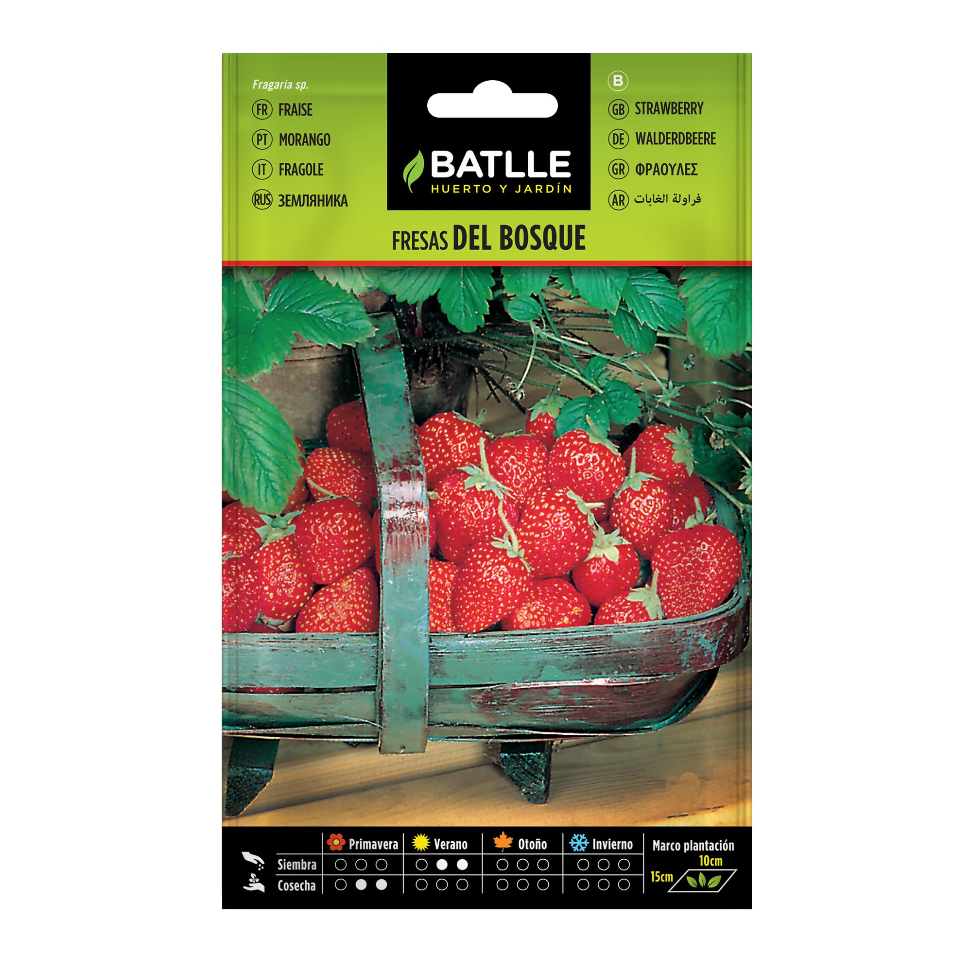 Batlle Nasiona ziół - poziomka (nasiona - 20-25 cm)