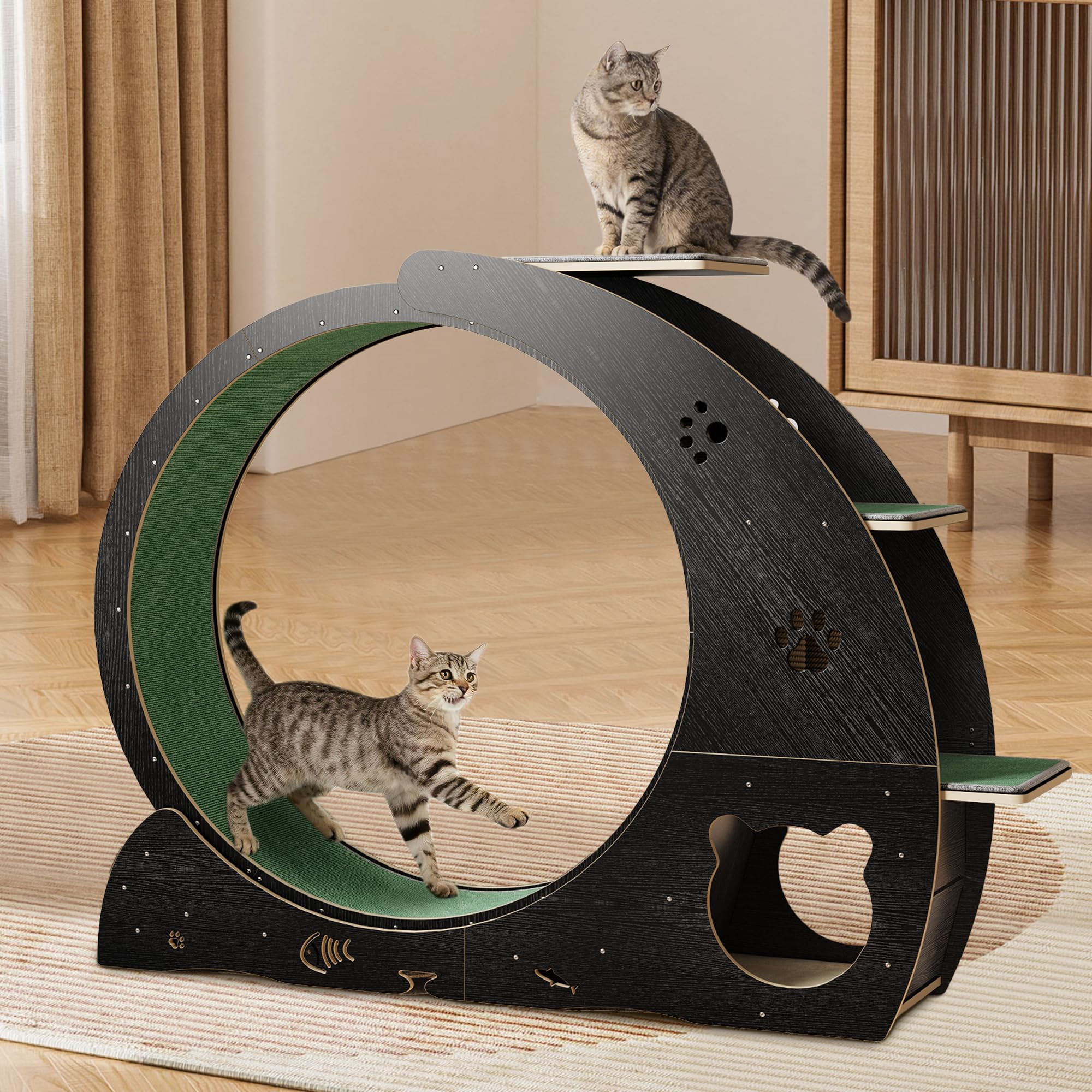 5-in-1 Cat Running Wheel, 41.5" Large Quiet Cat Treadmill