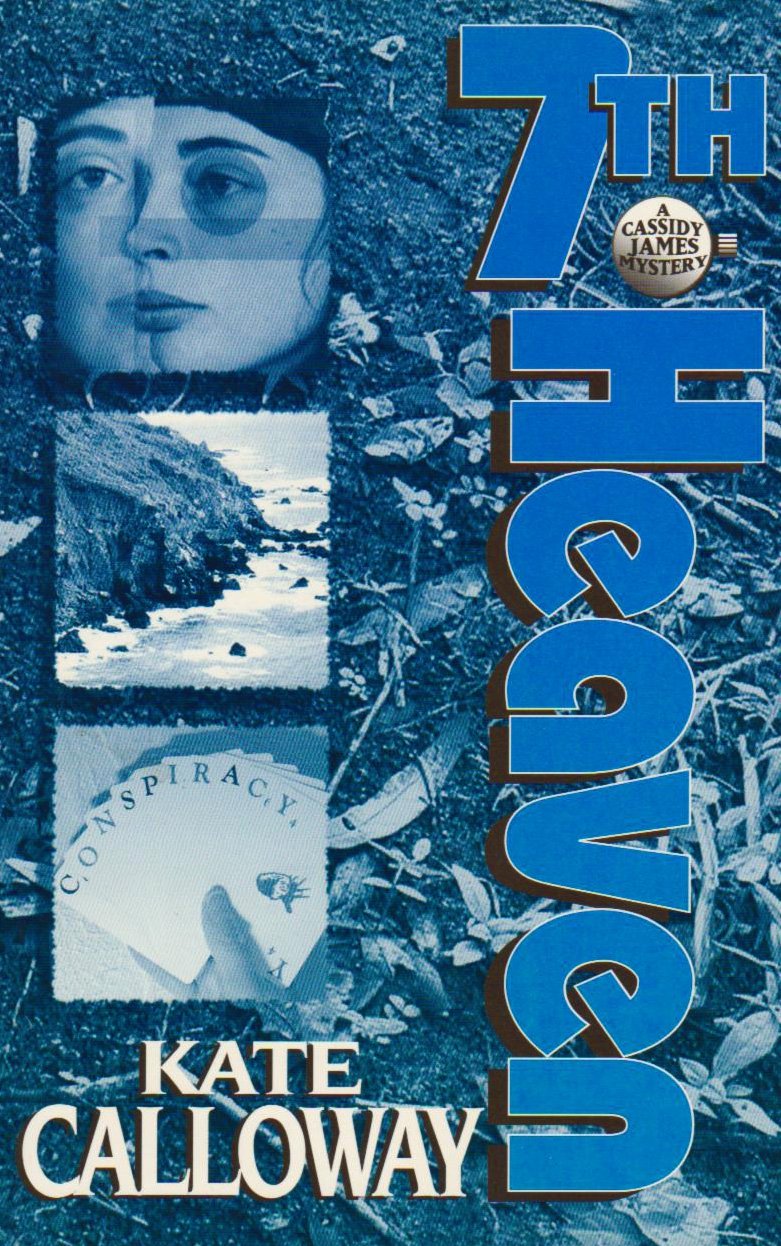 Buy Seventh Heaven — BookShops.in