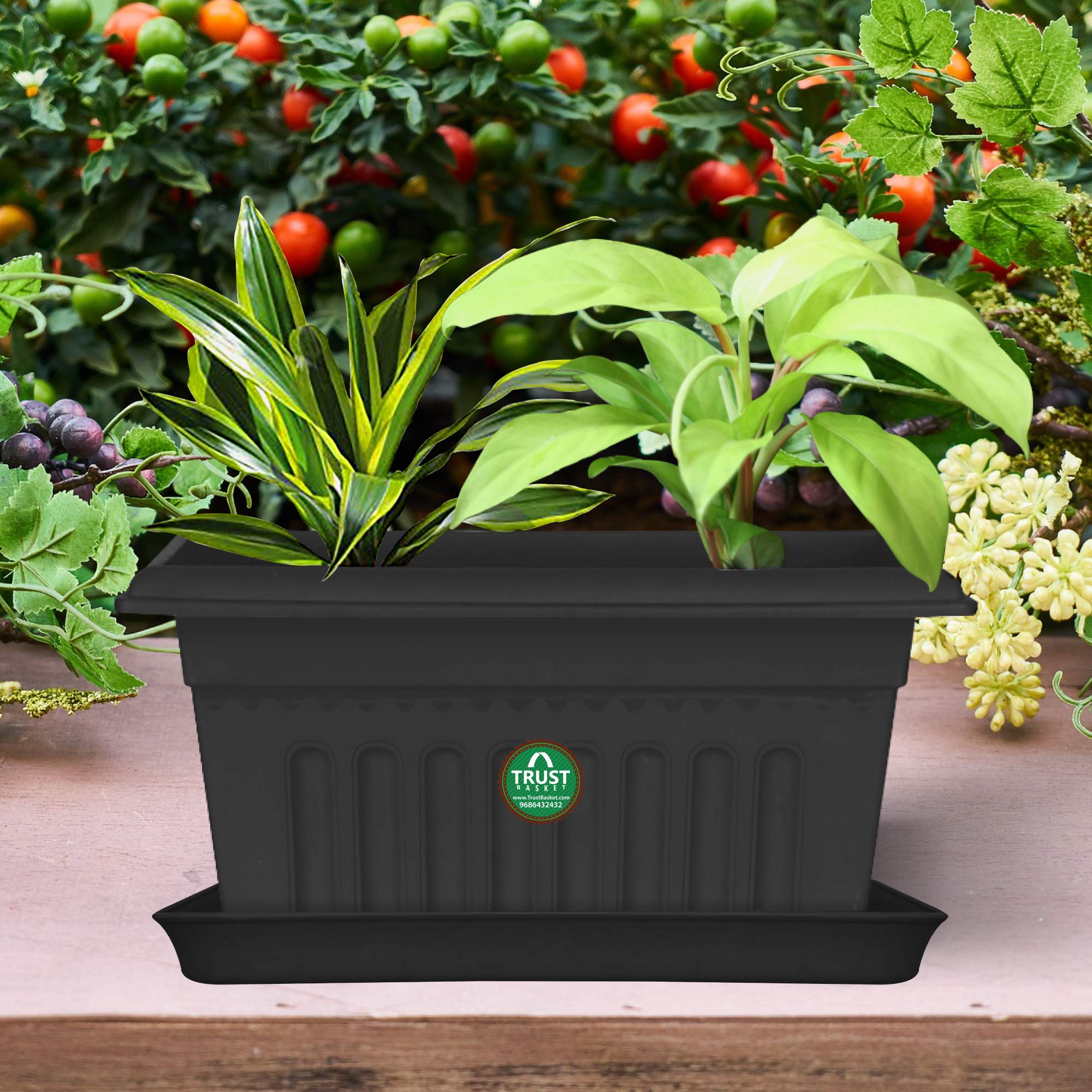TrustBasket Plant Saucers - Set of 3 -8