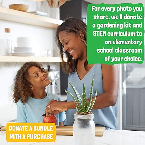 Miniatura 5 de Back to the Roots Kit de cultivo de riego automático, macetas hidropónicas de vidrio para suculentas y cactus, sistema de riego automático sin