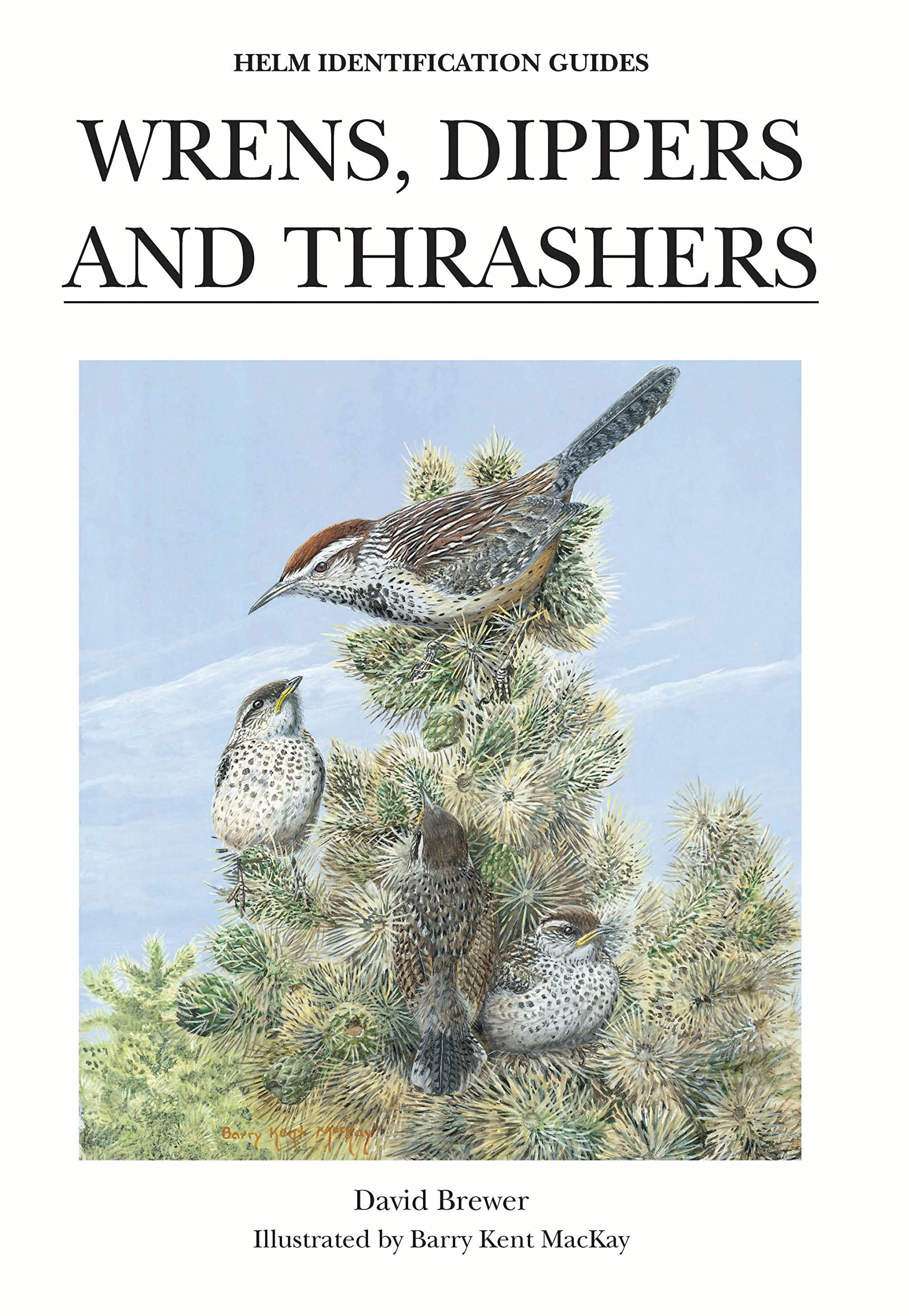 Buy Wrens, Dippers and Thrashers — BookShops.in
