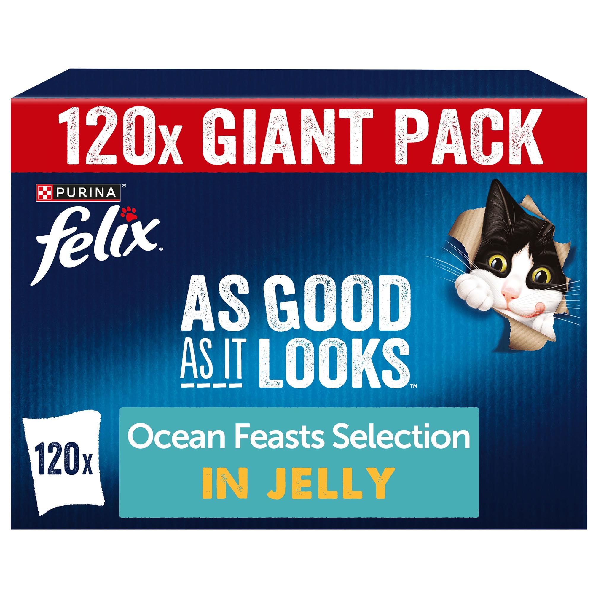 As Good As it Looks Adult Wet Cat Food Ocean Feasts in Jelly Plaice, Salmon, Tuna, Cod 120 x 85g Pouches