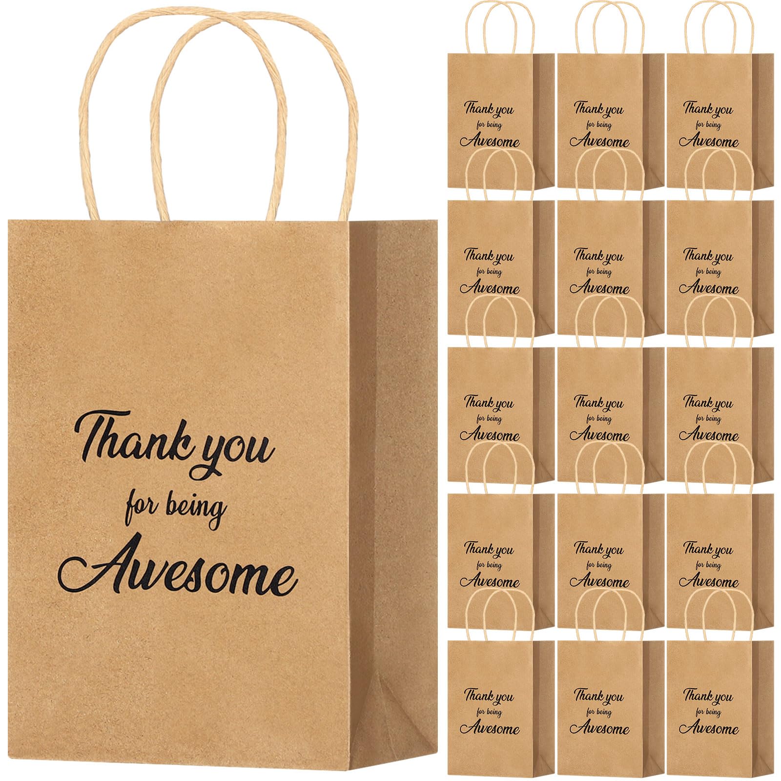 Qilery 18 Pcs Kraft Paper Gift Bags with Handles for Employee Coworker Colleague Volunteer Teacher Nurse, Thank You for Being Awesome Gift Bags, 5. 9
