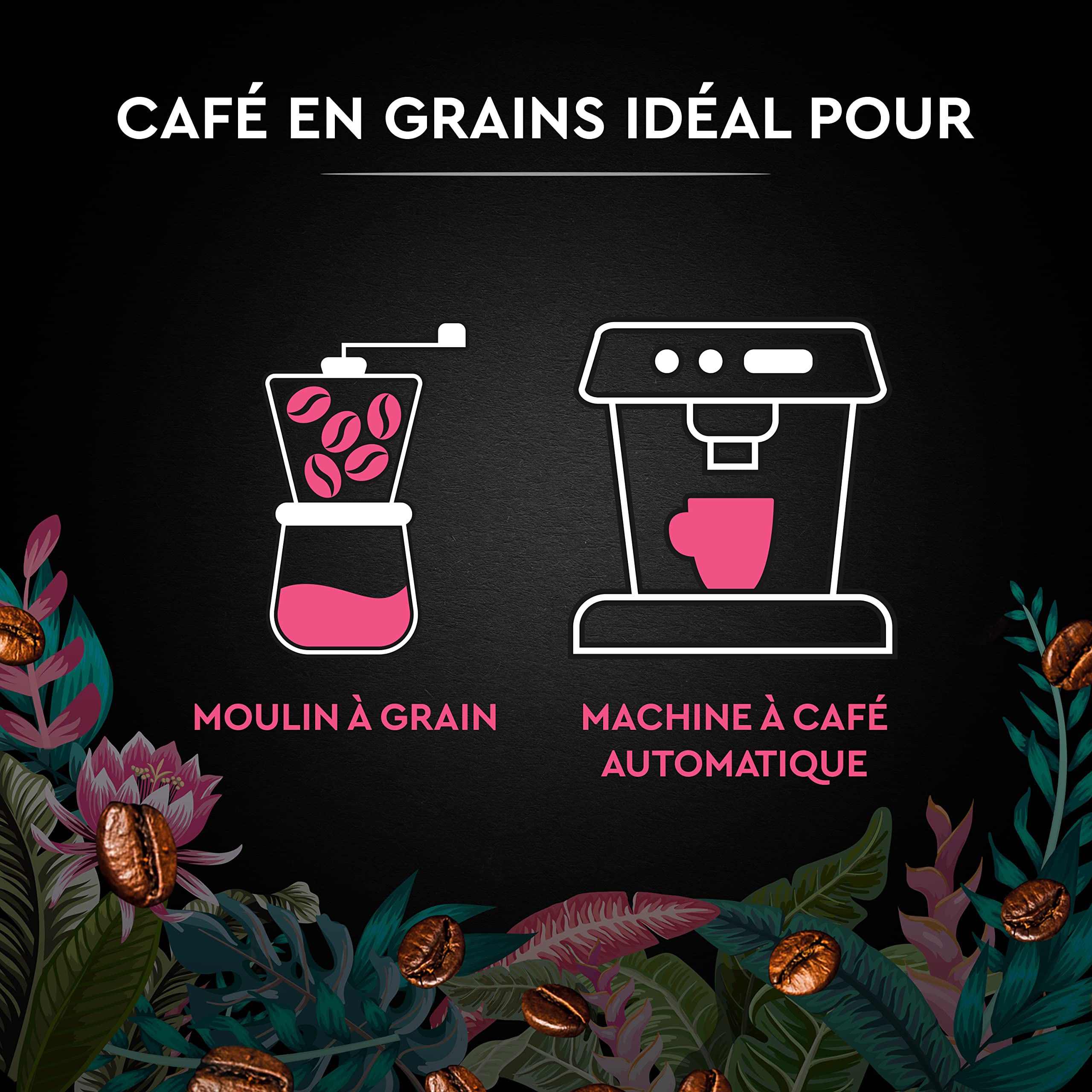 CARTE NOIRE - Café Grain Carte Noire "Secrets de Nature" - Congusta & Mundo Novo - Certifié Rainforest Alliance - Paquet de 1 kg - Fabriqué en France