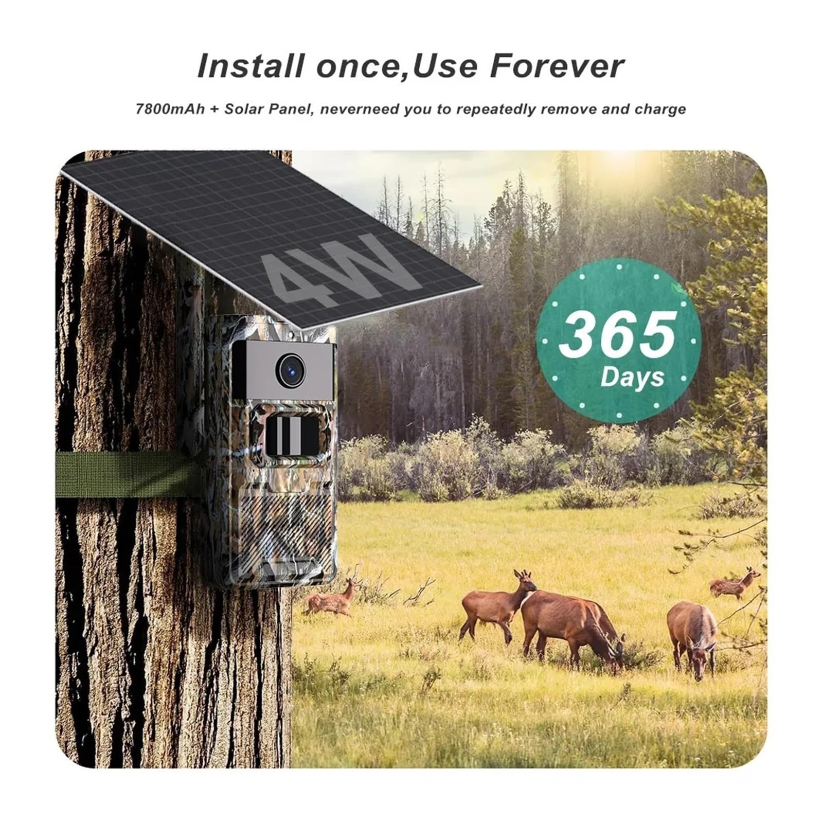 Cámara Vida Silvestre Cámara De Rastreo con Energía Solar 4G 2K, Imágenes 14MP, Visión Nocturna IR, Caza Impermeable IP66 For Monitoreo Vida Silvestre Monitoreo Confiable Preciso(4G Trail CAM)