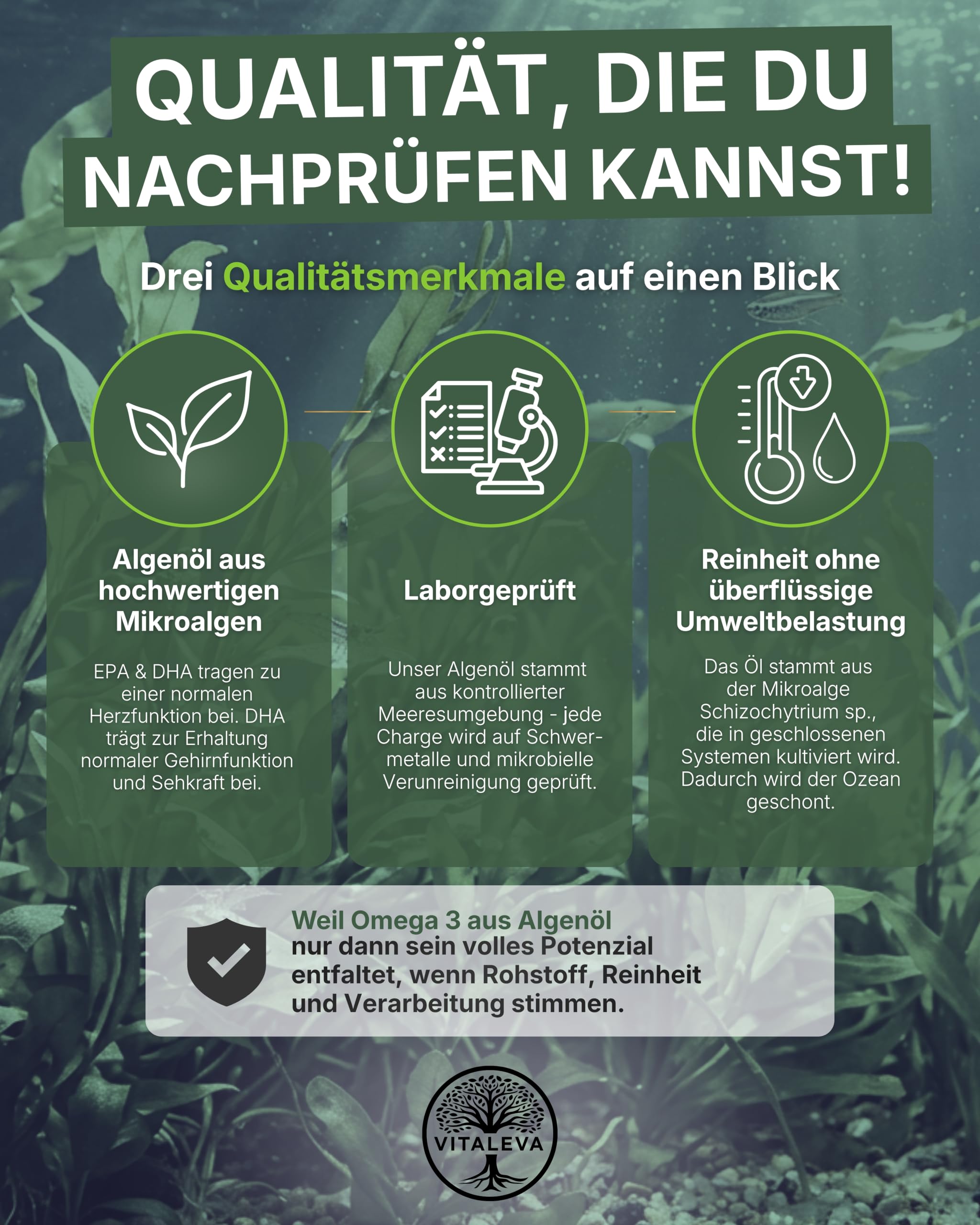 Omega 3 Kapseln aus Algenöl I 120 Kapseln I Hochdosiert mit 1.400 mg pro Portion I Veganes Omega 3 I Reich an DHA & EPA Fettsäuren I Natürliche Nahrungsergänzung für 120 Tage