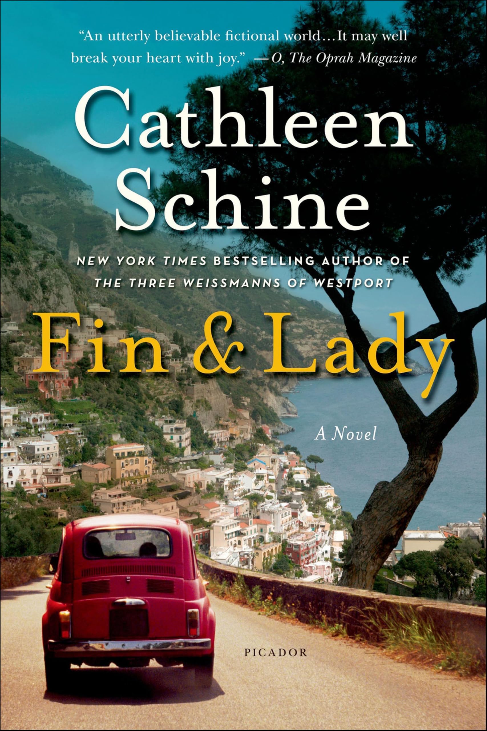 Fin & Lady: A Novel