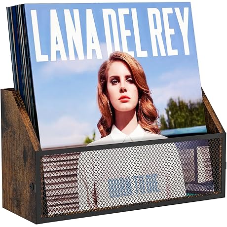 Vinyl Record Display Shelf: Wall-Mounted Storage Solution for Vinyl Collectors