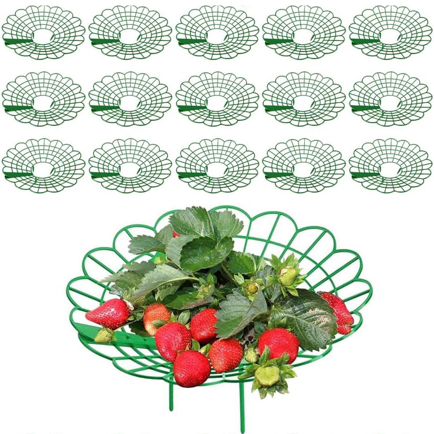 Lansls Pack Of 15 Strawberry Supports, 30cm Strawberry Plant Support Stands With 3 Sturdy Legs, Snail & Slug Protection, Prevents Rot, Mould And Dust For Garden, Balcony & Outdoor Plants