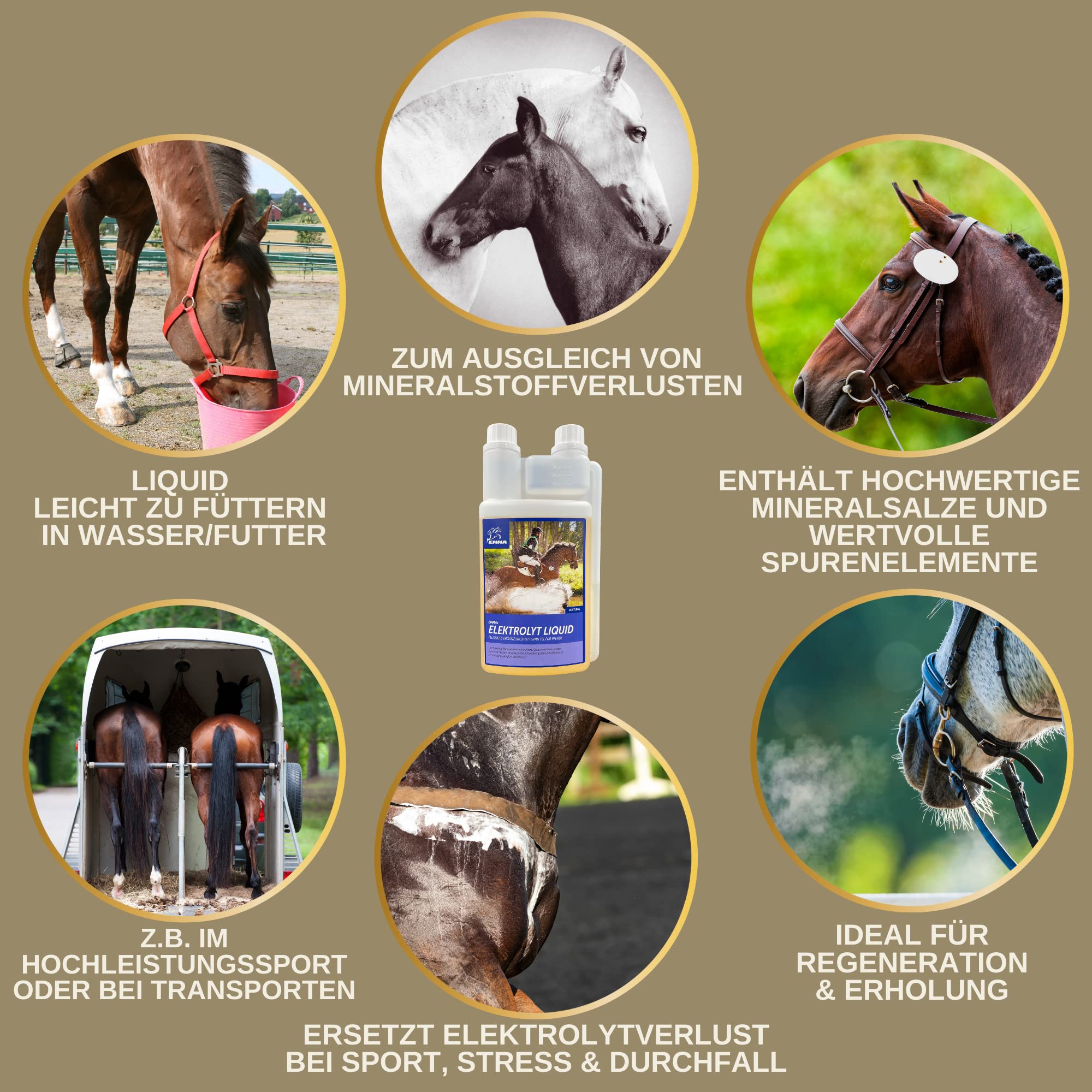 Electrolitos líquido + Pasta I electrolitos Caballo minerales Vitamina B12 oligoelementos I Sales de Sodio magnesio Caballo electrolitos diarrea vómito Agua sudoración Sales minerales Caballo 1L 30ml