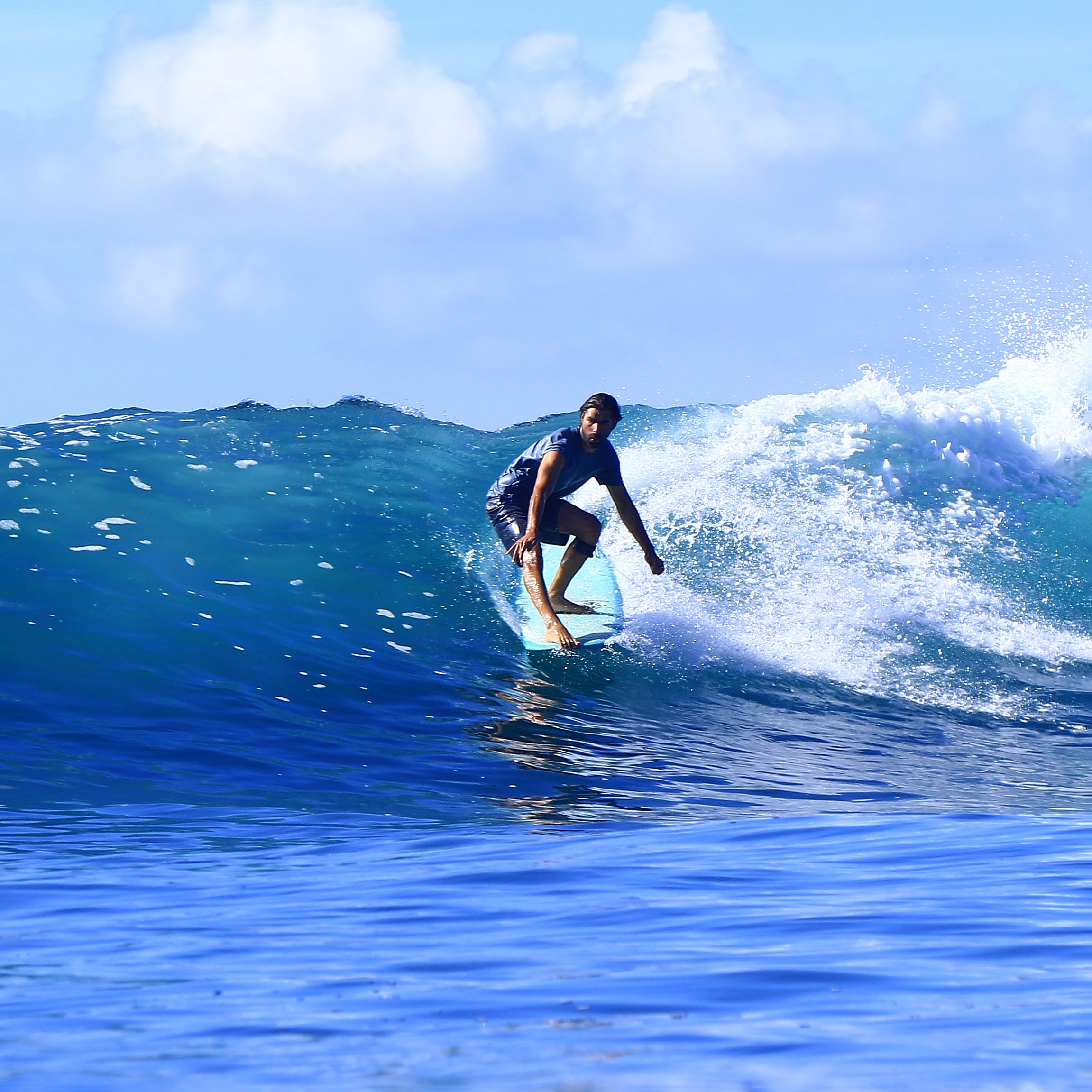 Amazon | Paragon Surfboards レトロ Noserider ロングボード | 高性能