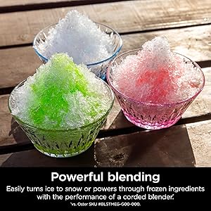 Ninja Blast Max, Portable Blender + Twist & Go, Personal Smoothie, Blend, Ice Crush, 3 Programs, Cordless, 22 oz removable Vessel, Dishwasher Safe, Leakproof, Silver, BC251SL