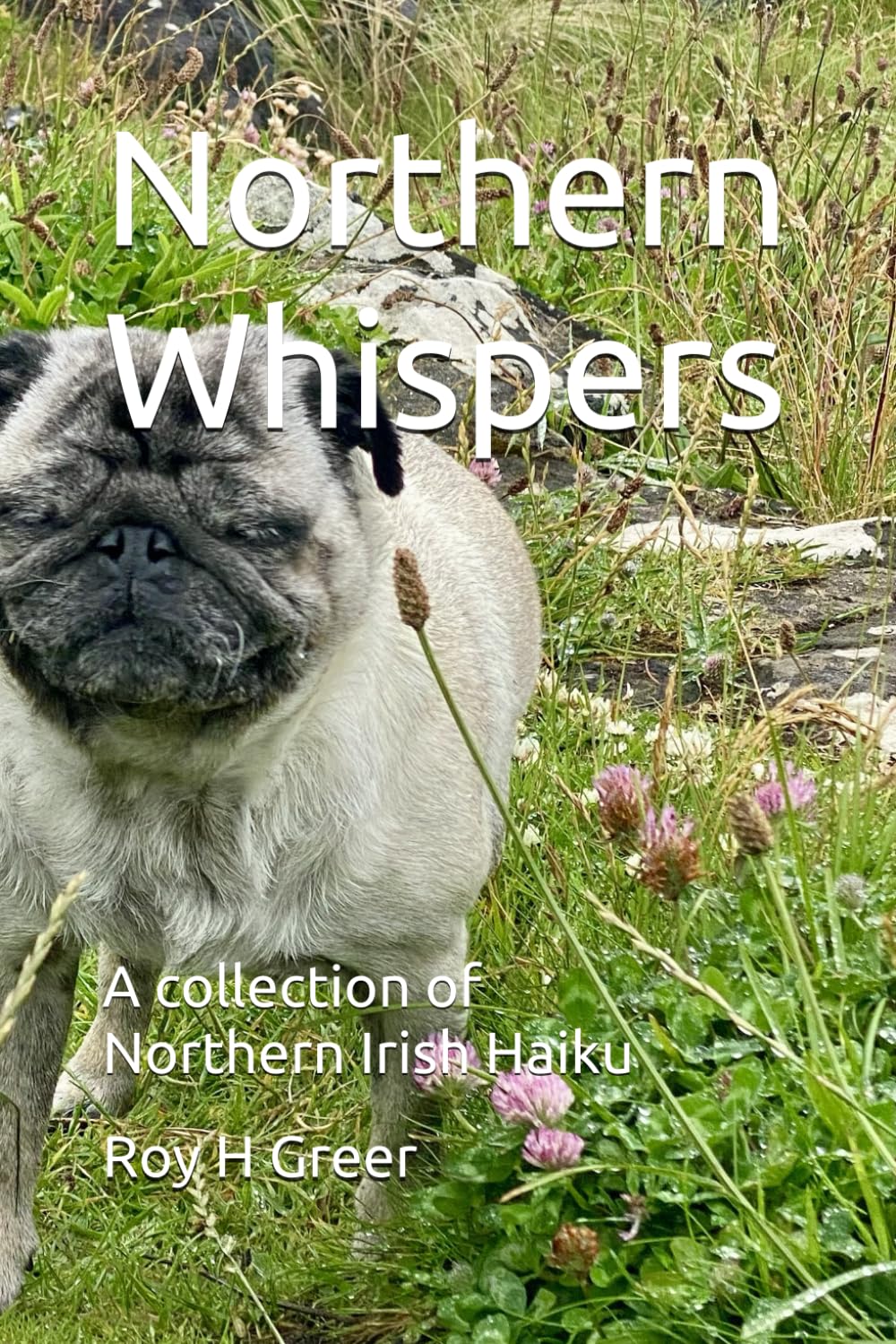 Northern Whispers: A collection of Northern Irish Haiku