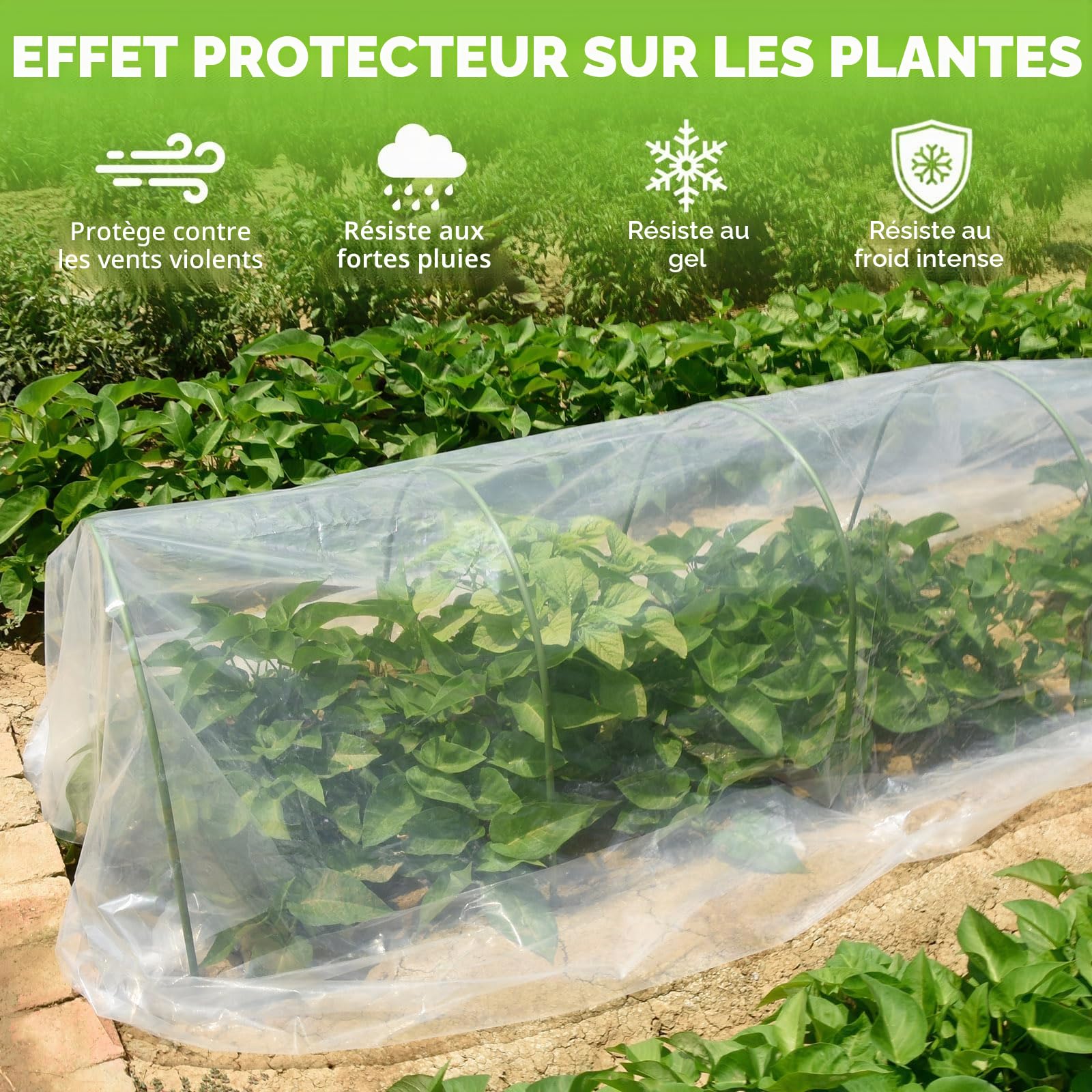 Bâche en polyéthylène robuste - 3 x 15 m - Extra épaisse - Étanche et anti-poussière - Film polyéthylène pour jardinage, serre, isolation du bâtiment et protection contre les gravats (3 x 15 m)