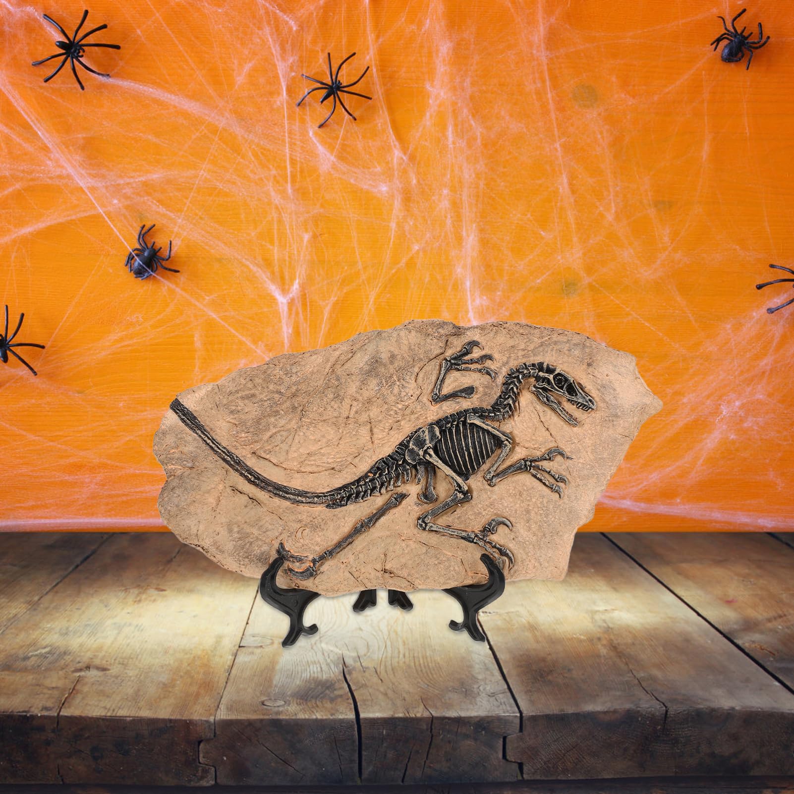 Kisangel Fossile di Dinosauro in Resina per Ragazzo Ragazza, Decorazione Realistica per Compleanno e Festa, Set per Sviluppare Creatività e Simulazione