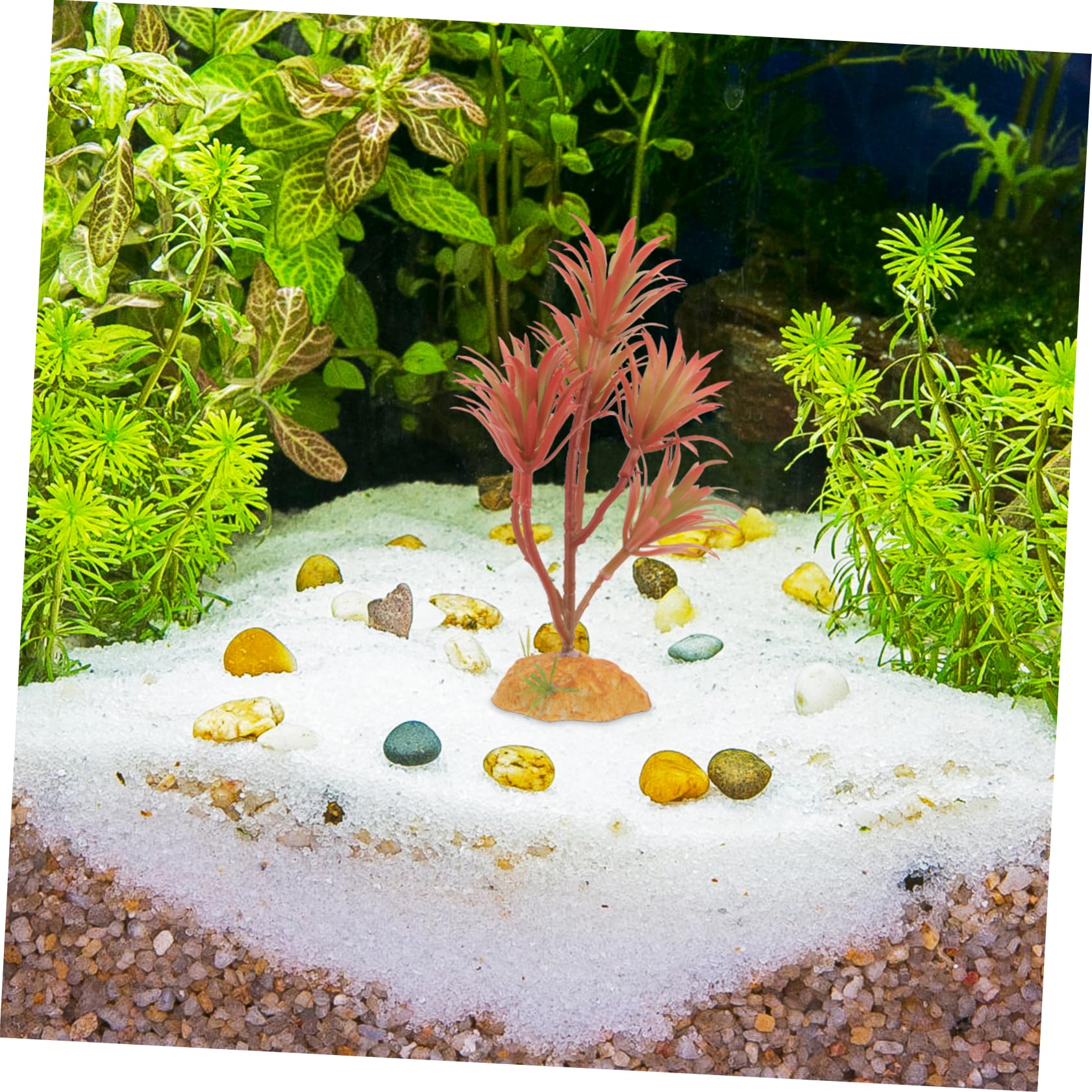 TOYANDONA 5 Pezzi Set Di Piante Simulato Impianti Piante D'acquari D'acqua Dolce Grandi D'acquario Pianta Finta Acquatico io Finte Decorazione Plastica
