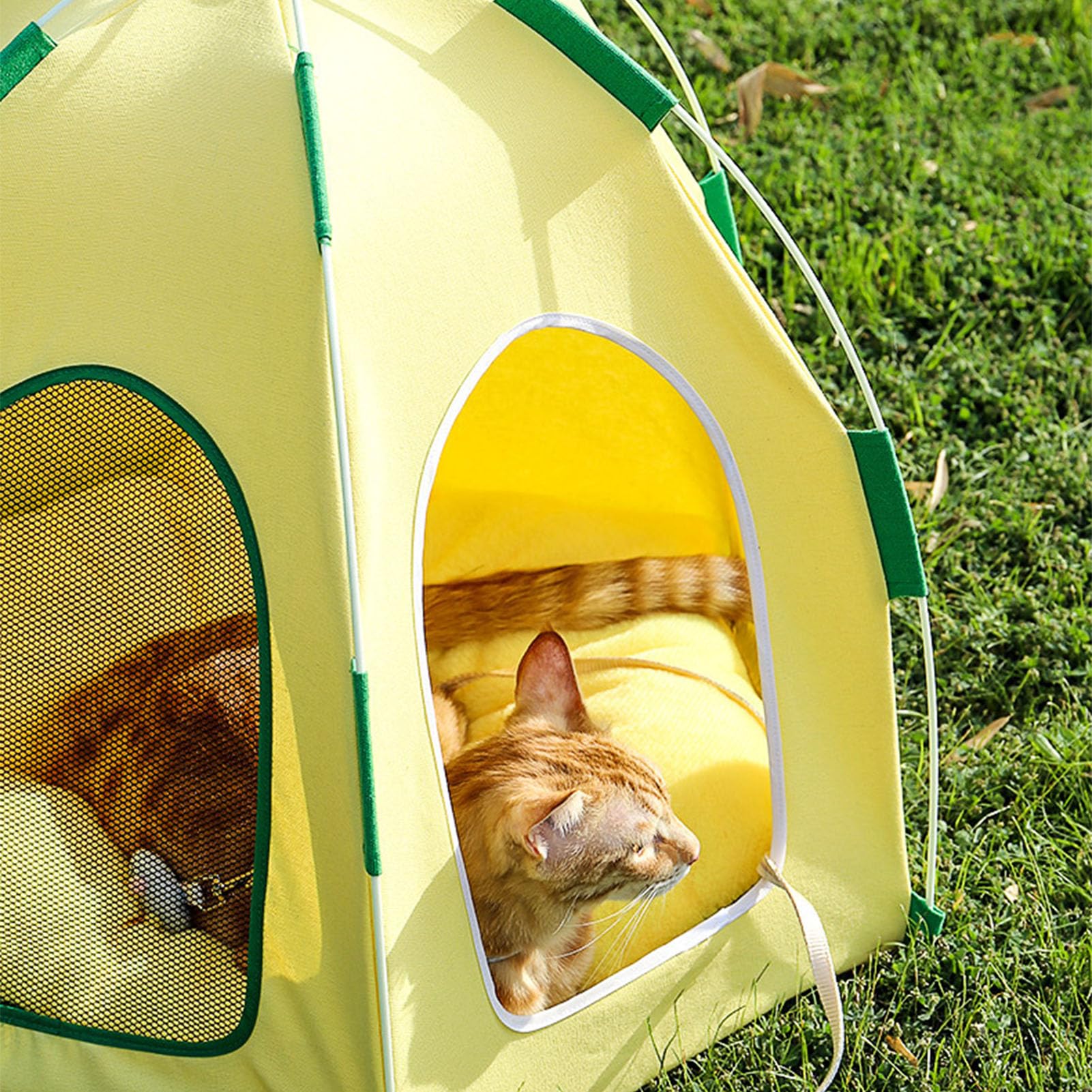 Lit pour Chat Lit pour Chaton Tente pour Chat, Lit pour Animal de Compagnie Triangle Igloo Confortable et Pliable, Maison de Grotte pour Chat en Forme d'ananas avec Coussin Amovible