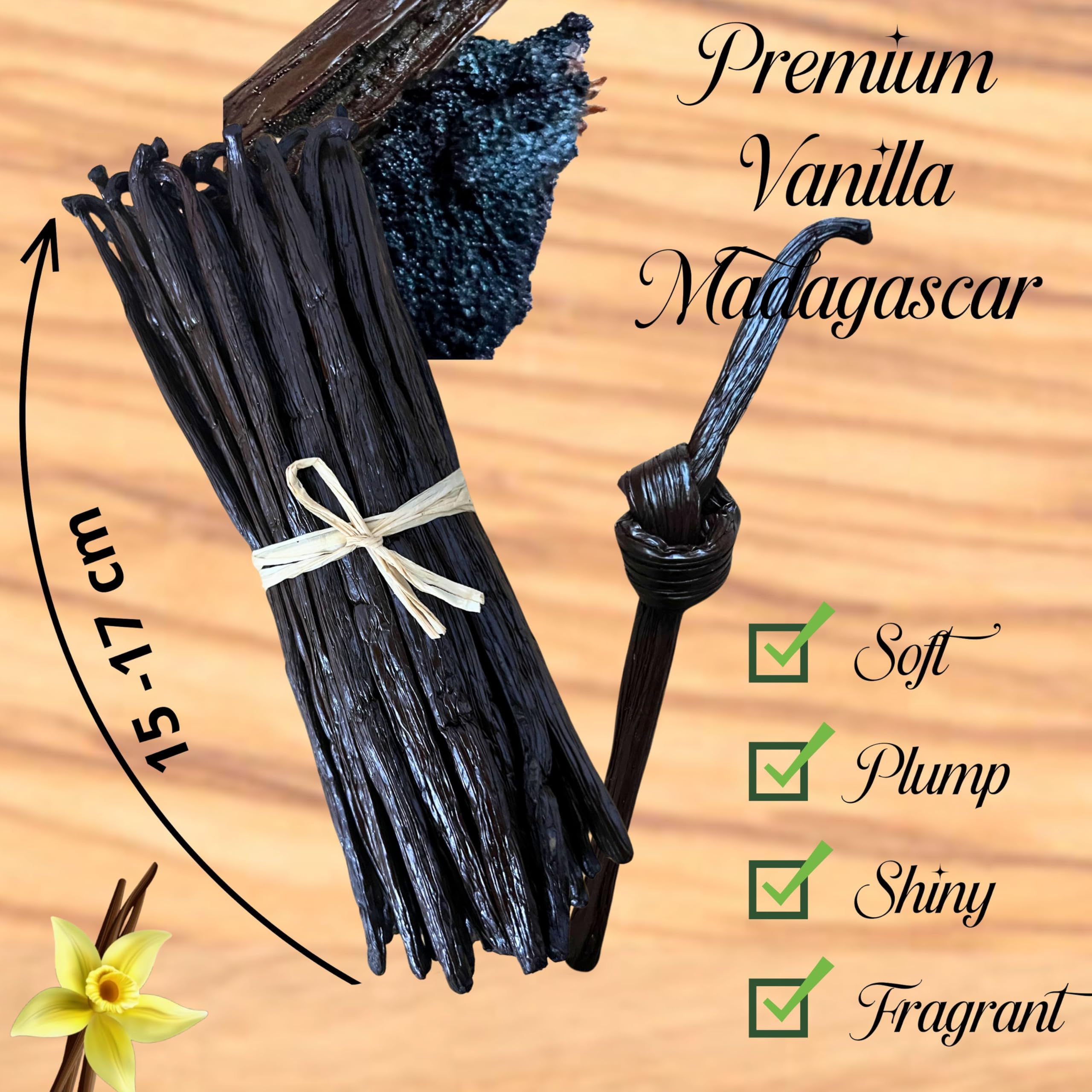 vainilla (15-17 cm, 5, unidad)
