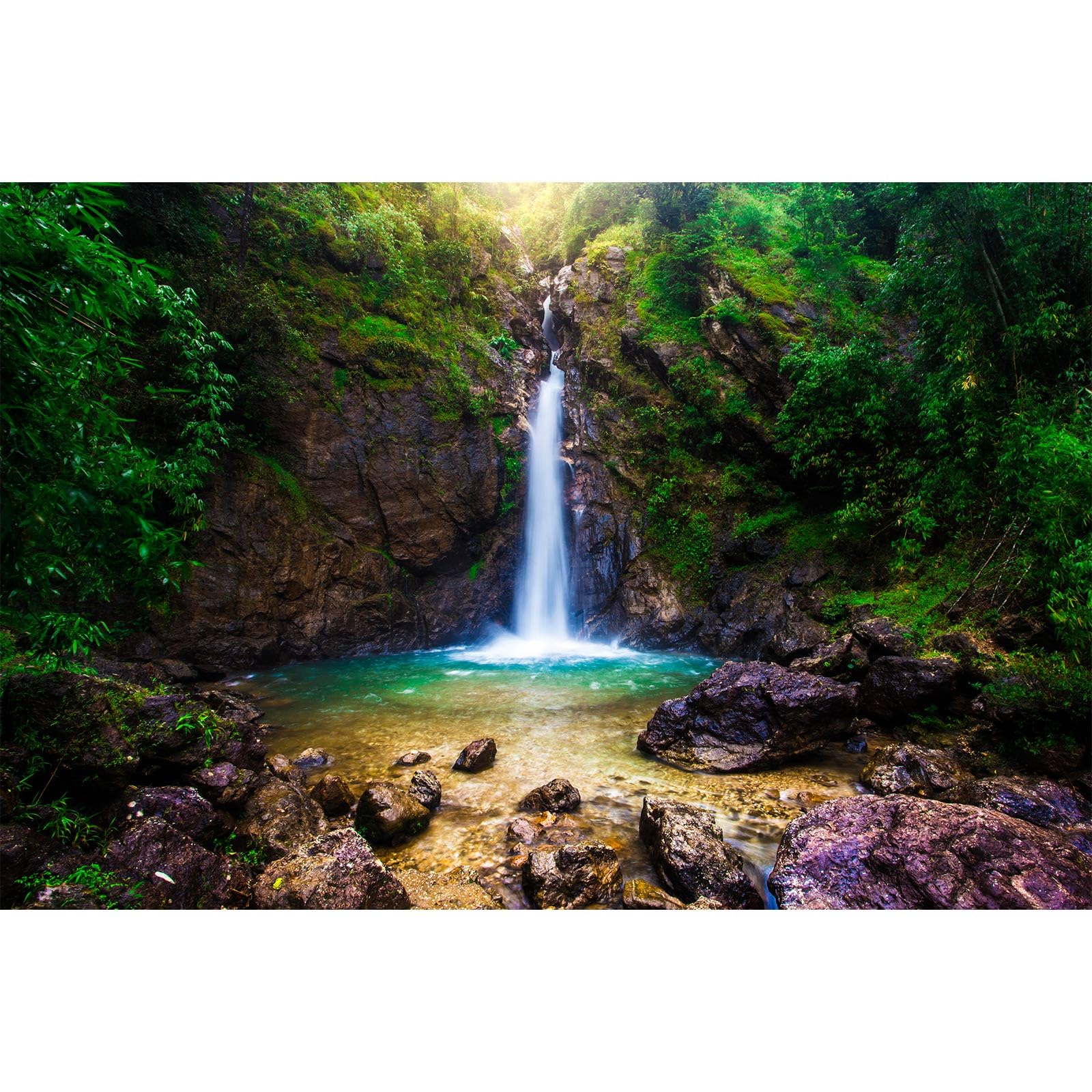 Waterfall Aquarium Background Deep Forest Natural Landscape Terrarium Background Falls Green Jungle Plants Huge Rocks Fish Tank Background Waterfall Rock Reptile Habitat Background Vinyl 48x18in