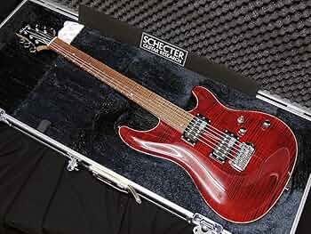 SCHECTER シェクター RX-2-24 CTM TOM 美品 エレキギター】楽器フェア2014で参考出品されたSCHECTERのREXYが