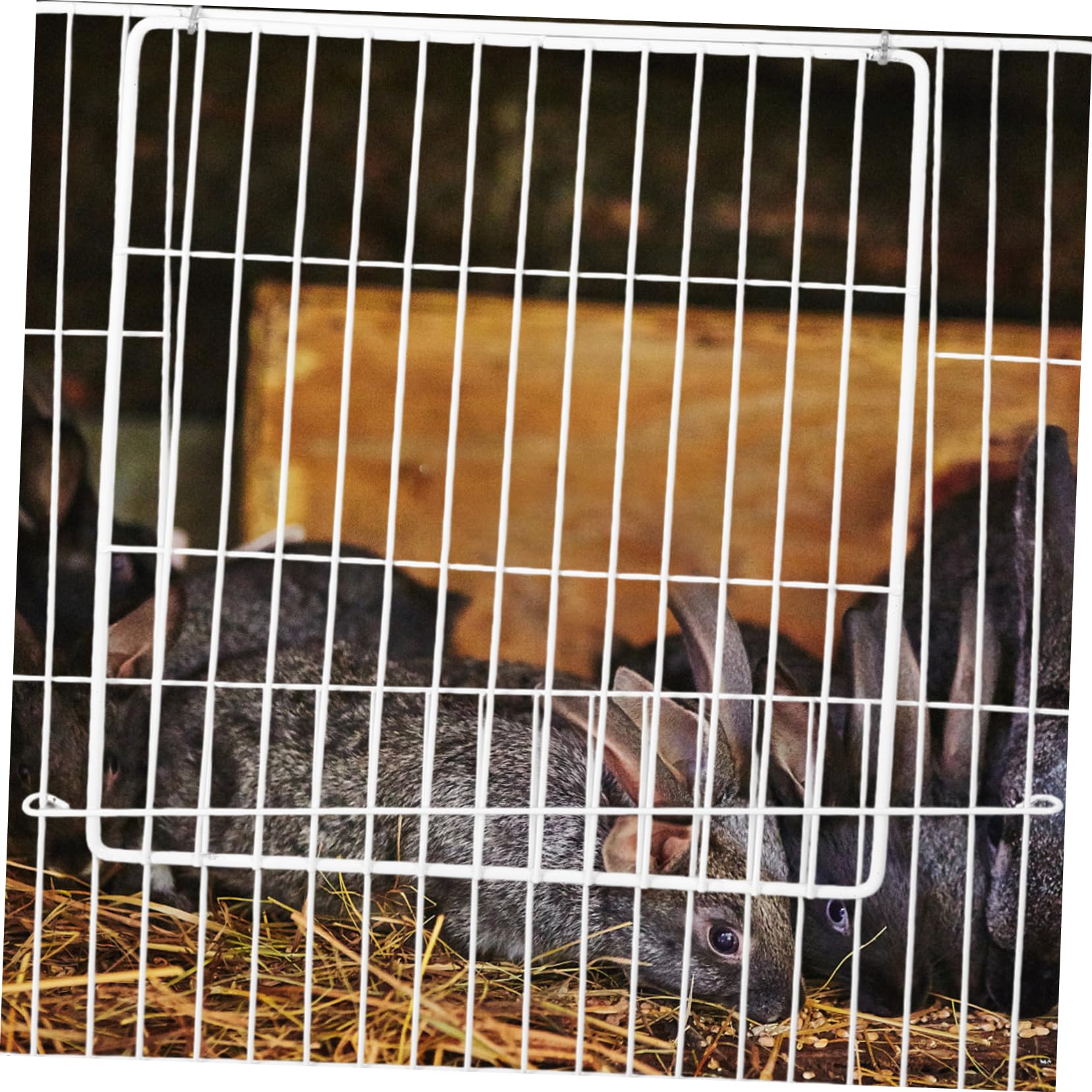 Toddmomy DIY Pet Cage Door Pet Screen Door for Dog Puppy Gate Dog Gate Easy Install