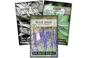 Sage Plant Seeds: Cultivate Culinary Herb Gardens Indoors & Outdoors with Sow Right Seeds