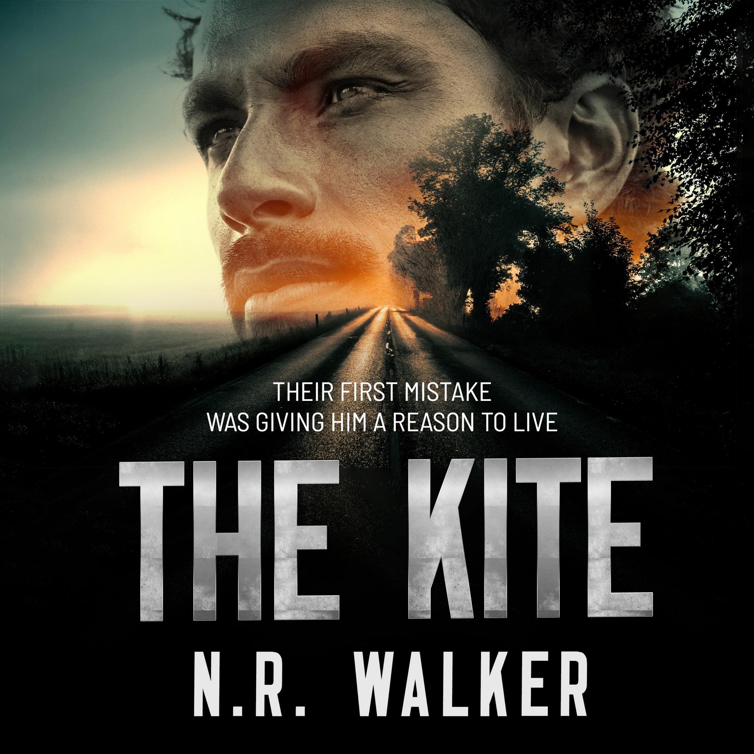 Cover art for The Kite