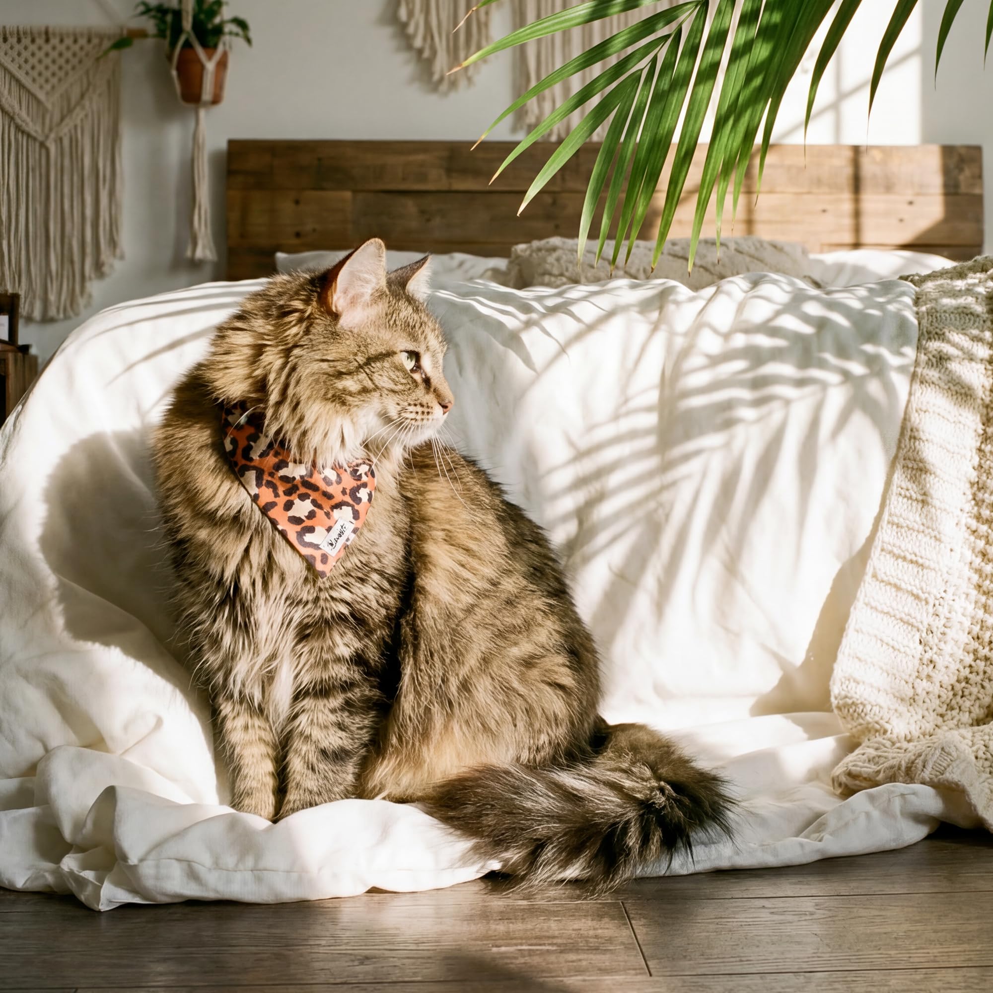 Bandit - Bandana pour Chat - Taille S - Jungle Chic - Tour de Cou 24-28cm - Boucles Anti-étranglement en Plastique - Foulard en Nylon résistant et Doux - Confortable, Durable et Lavable en Machine