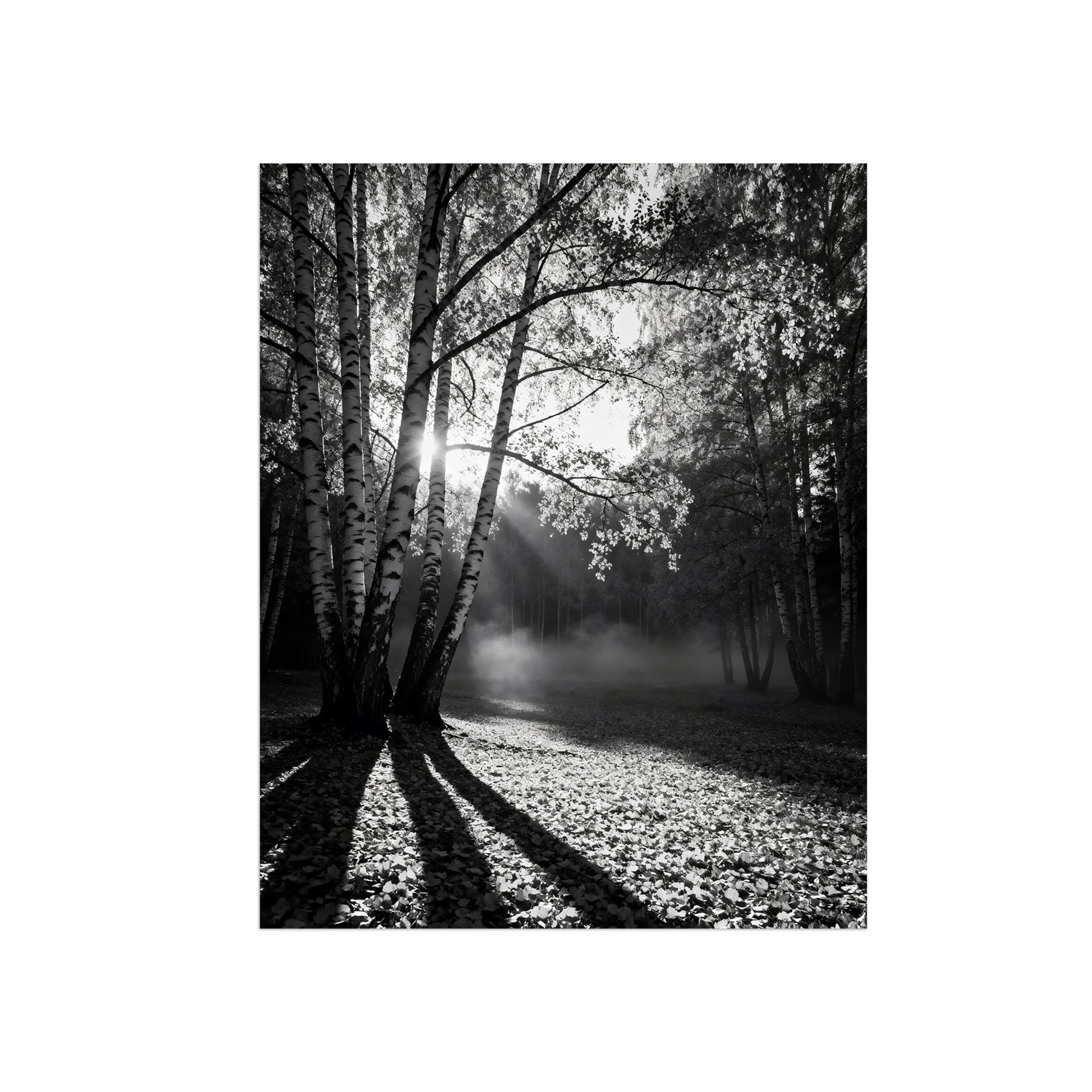 OZPWBVY Black White Landscape Wall Art. Tree Meadow. Picture 50x65cm Framed