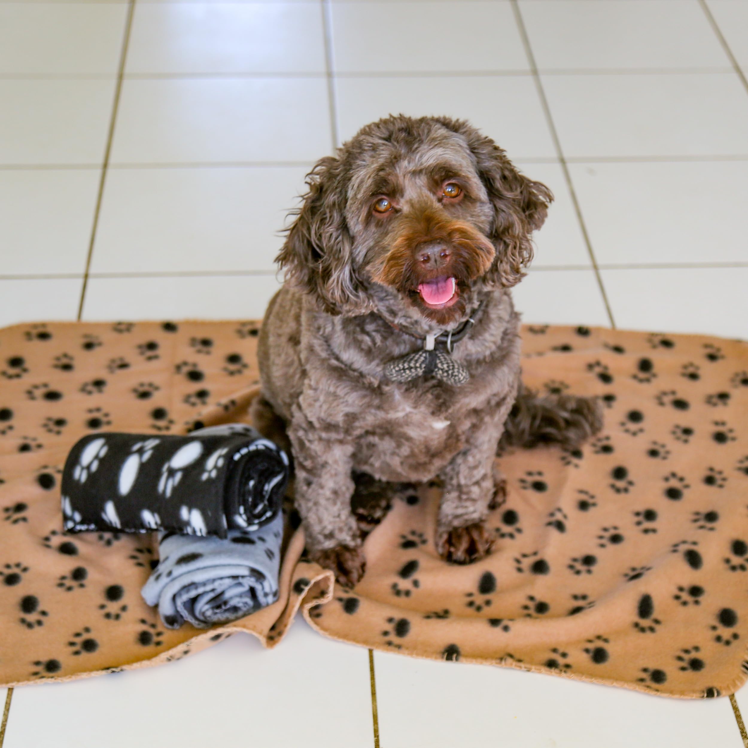 Couverture polaire animal DIGIFLEX grand plaid doux xl canapé voiture lit chien chat