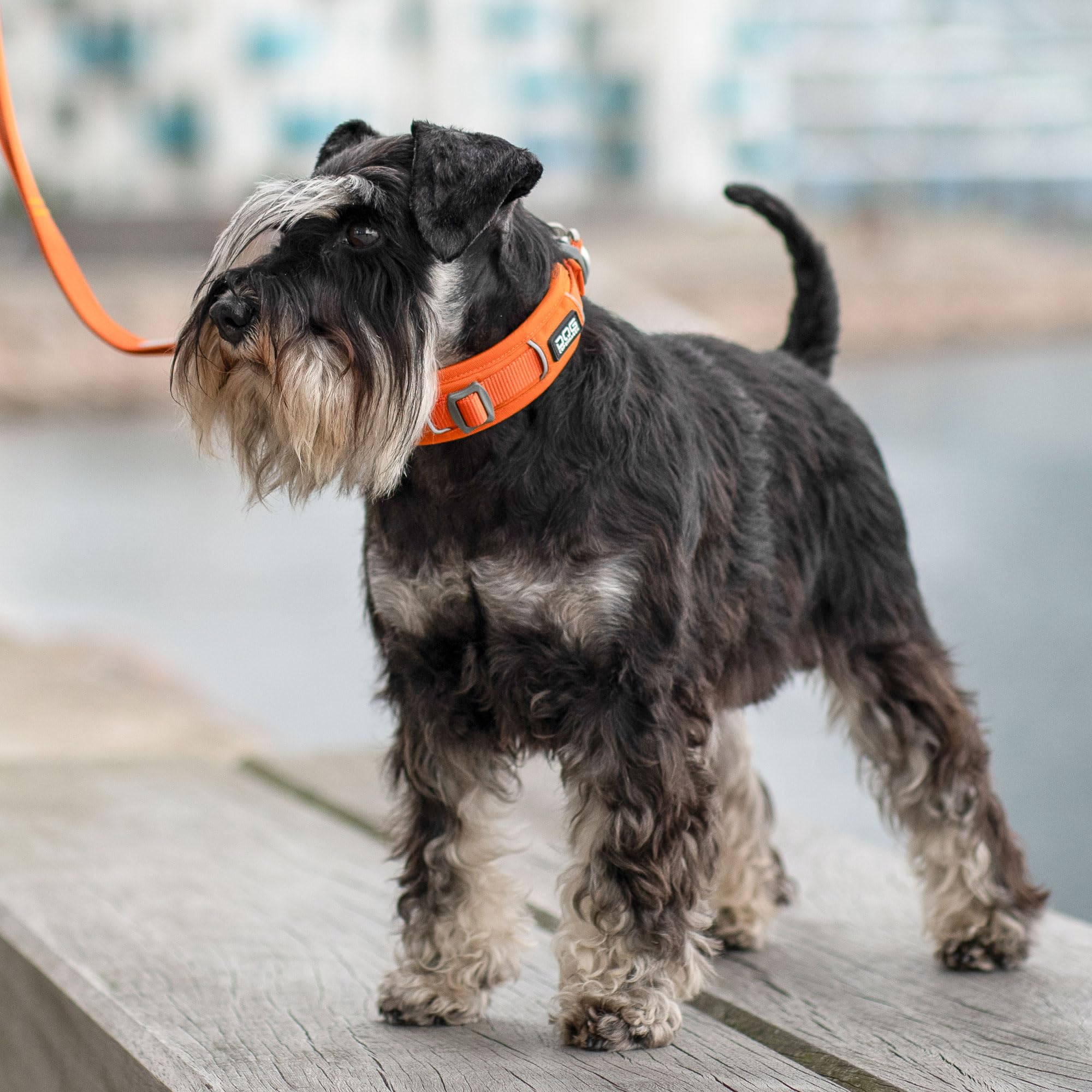 DOG Copenhagen Urban Explorer 3.0 Collar, Classic Red, M