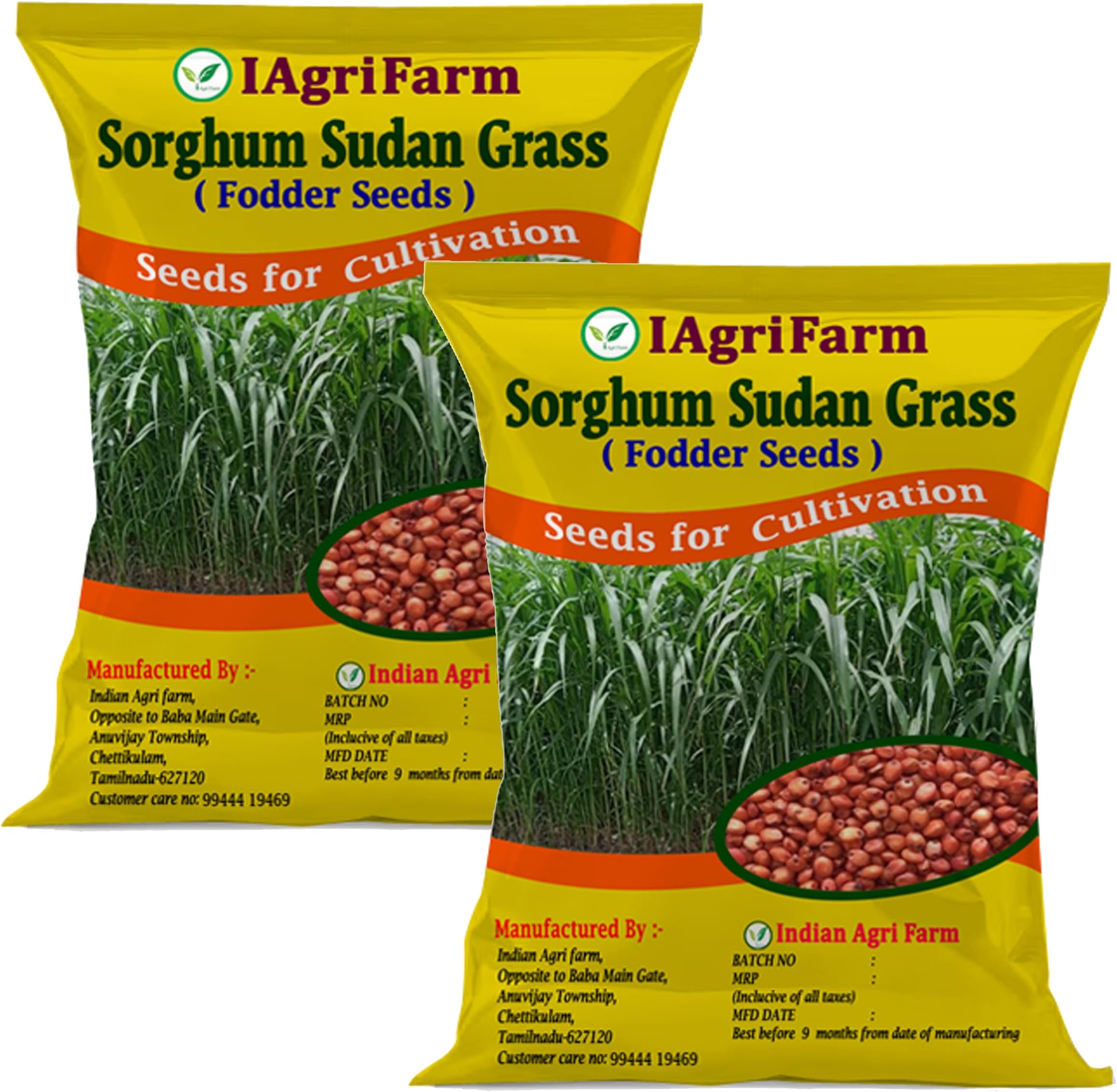 lagrifarm Sorghum Sudan Grass Seeds - 10 Kg - Multi Cut Fodder Seeds for Forage, Hay, Pasture, Silage