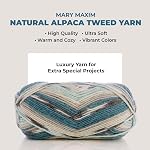 Mary Maxim Alpaca Yarn, Soft, Warm Tweed Yarn for Crocheting and Knitting, Medium Worsted Weight 4, Ideal for Scarves, Sweaters Afghans and Blankets, 262 Yards, Aqua Stripe