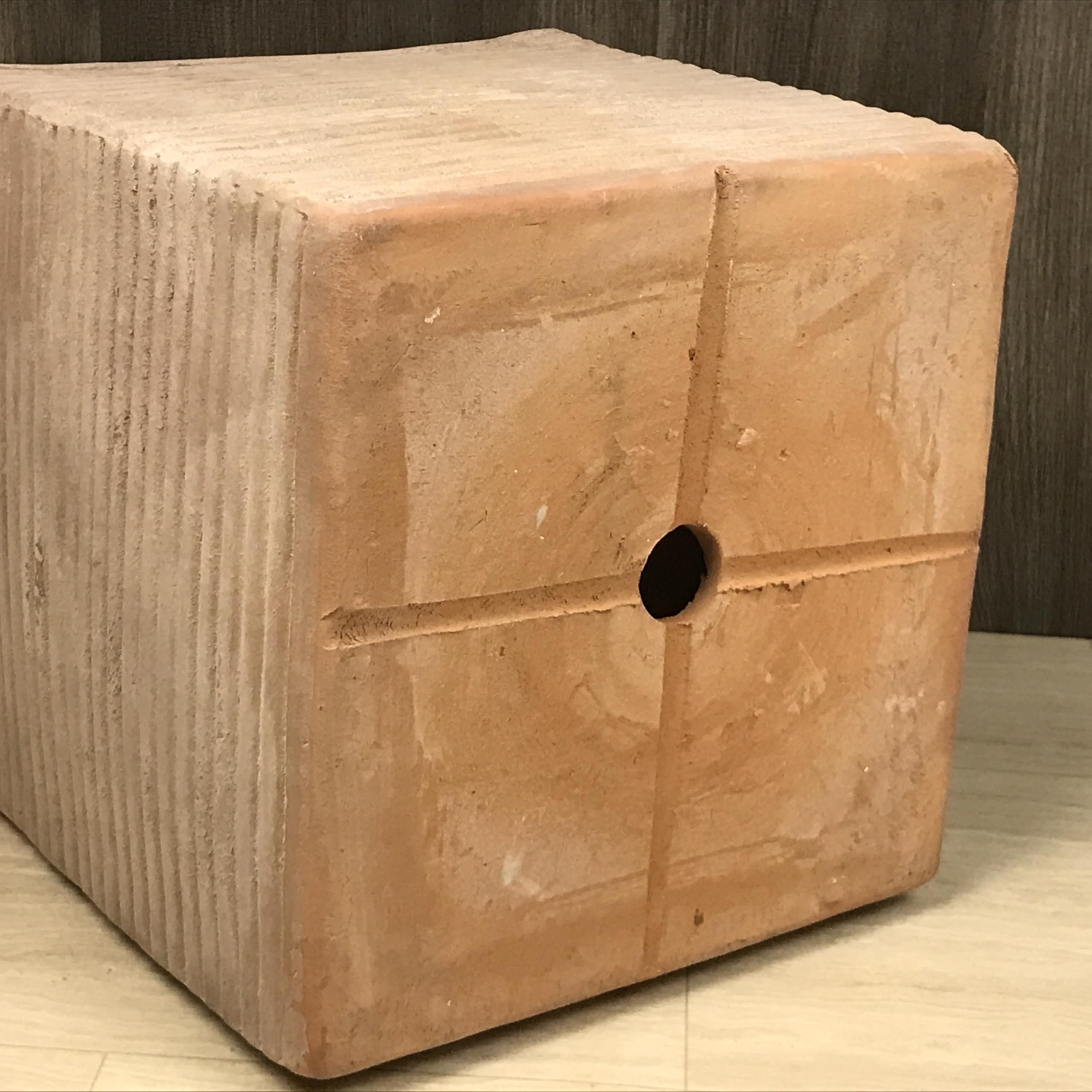 ことり ポット発送839⭐️Ashwood 【ASHWOODIENSIS】 ことり 様専用ポット発送839⭐️Ashwood 【ASHWOODIENSIS】