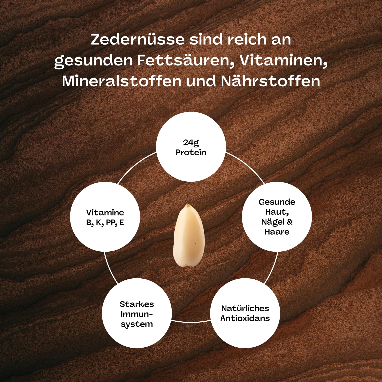 Sibirische Pinienkerne 1 kg - Zedernüsse - Pinienkerne aus Sibirien - Frische Ernte - unbehandelt und naturbelassen