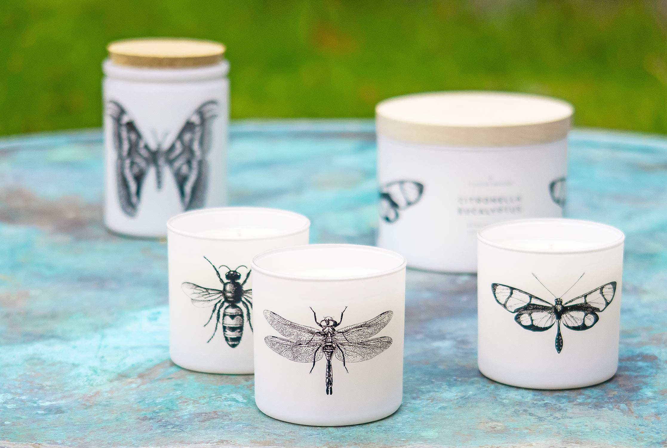 Skeem Citronella Sea Salt Votive Scented Candles - Set of 3 White Votive Candles - 50 Hour Burn Time - Made in The USA