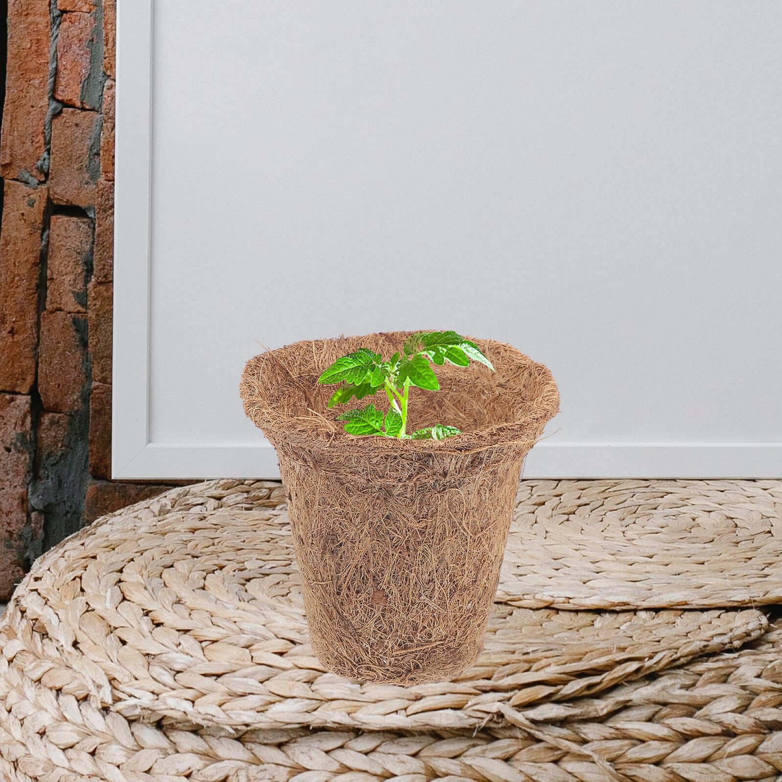 10 Pots de Démarrage, 10 Paquet de Terreau, 15 Étiquettes pour Plantes Jardinière Écologique pour Semis et Plantation en Intérieur et Extérieur