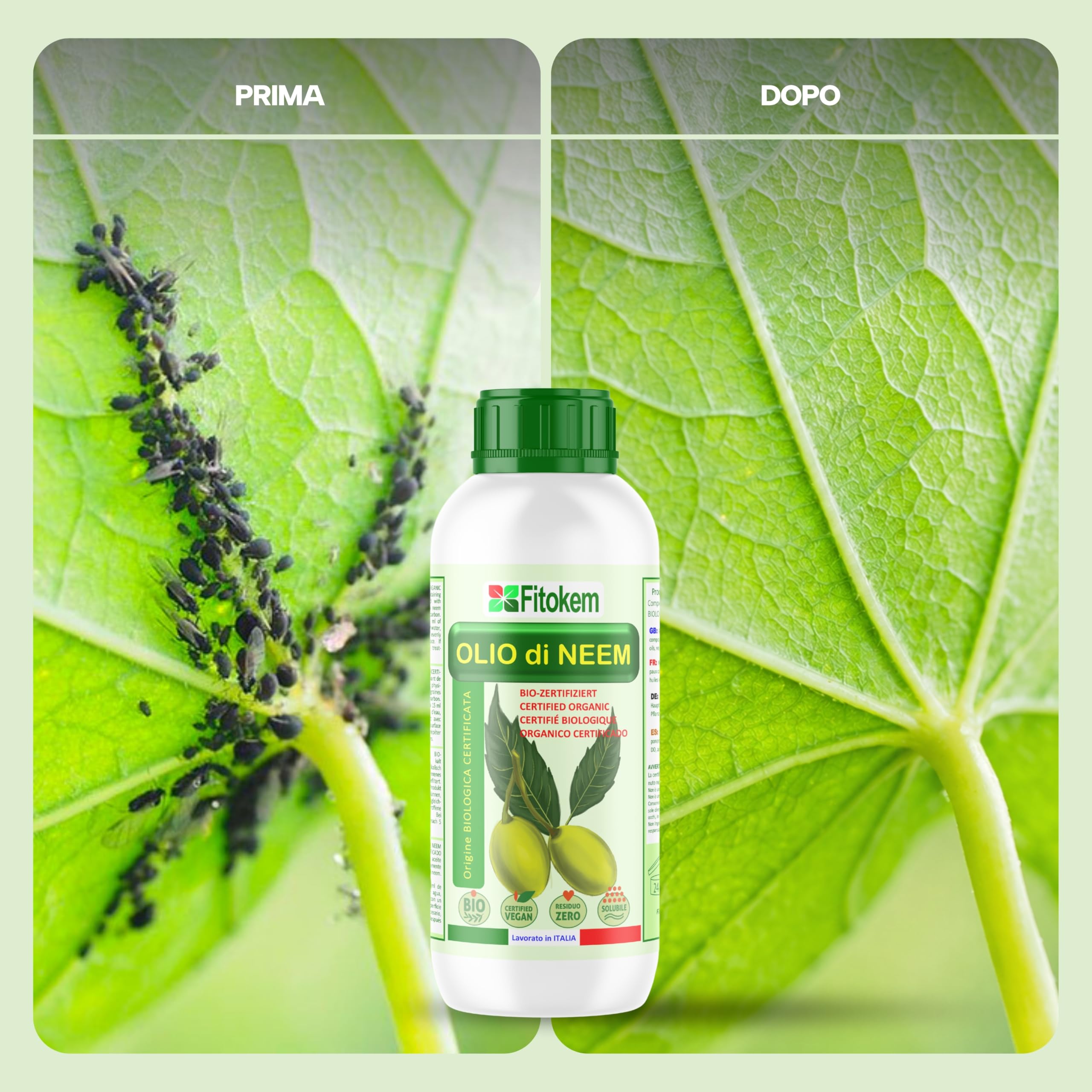 Fitokem Sapone Molle di Potassio 1lt e Olio di Neem 1lt Kit Protezione Piante Corroborante Naturale per Orto e Giardino contro Afidi e Cocciniglia Residuo Zero Made in Italy