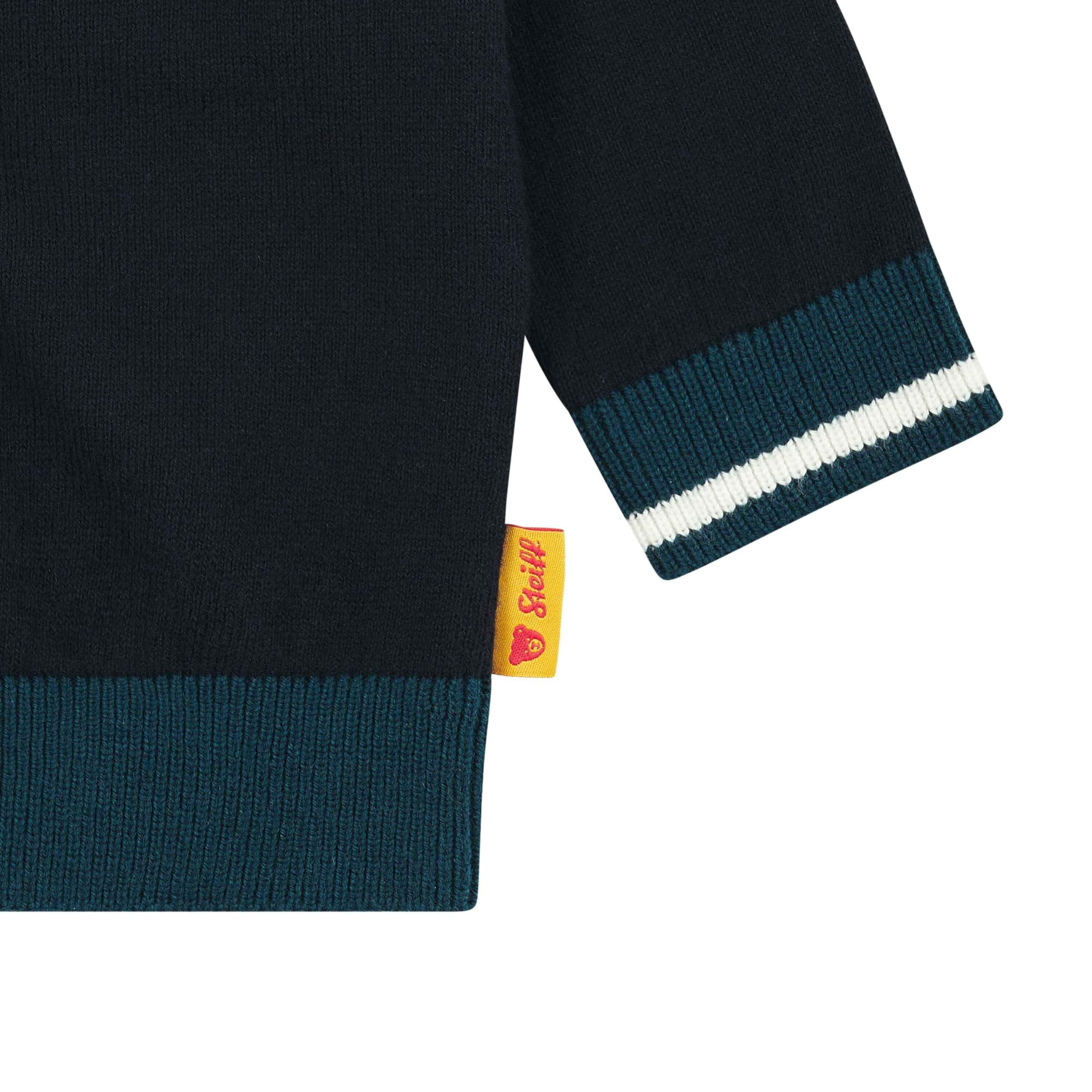Steiff Kurtka Chłopcy Strickjacke