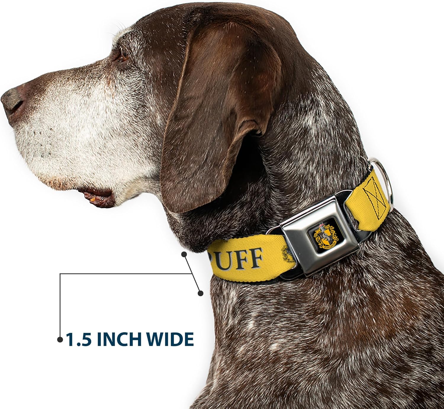 Dog Collar Seatbelt Buckle Harry Potter Hufflepuff Crest Yellow Black 11 to 16.5 Inches 1.0 Inch Wide