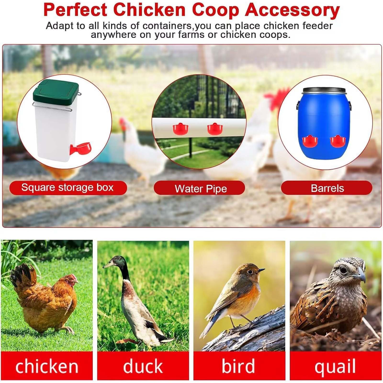 Poultry Feeder & Drinker Set - 5 Pack -7 Poultry Feeder & Drinker Set - 5 Pack -7