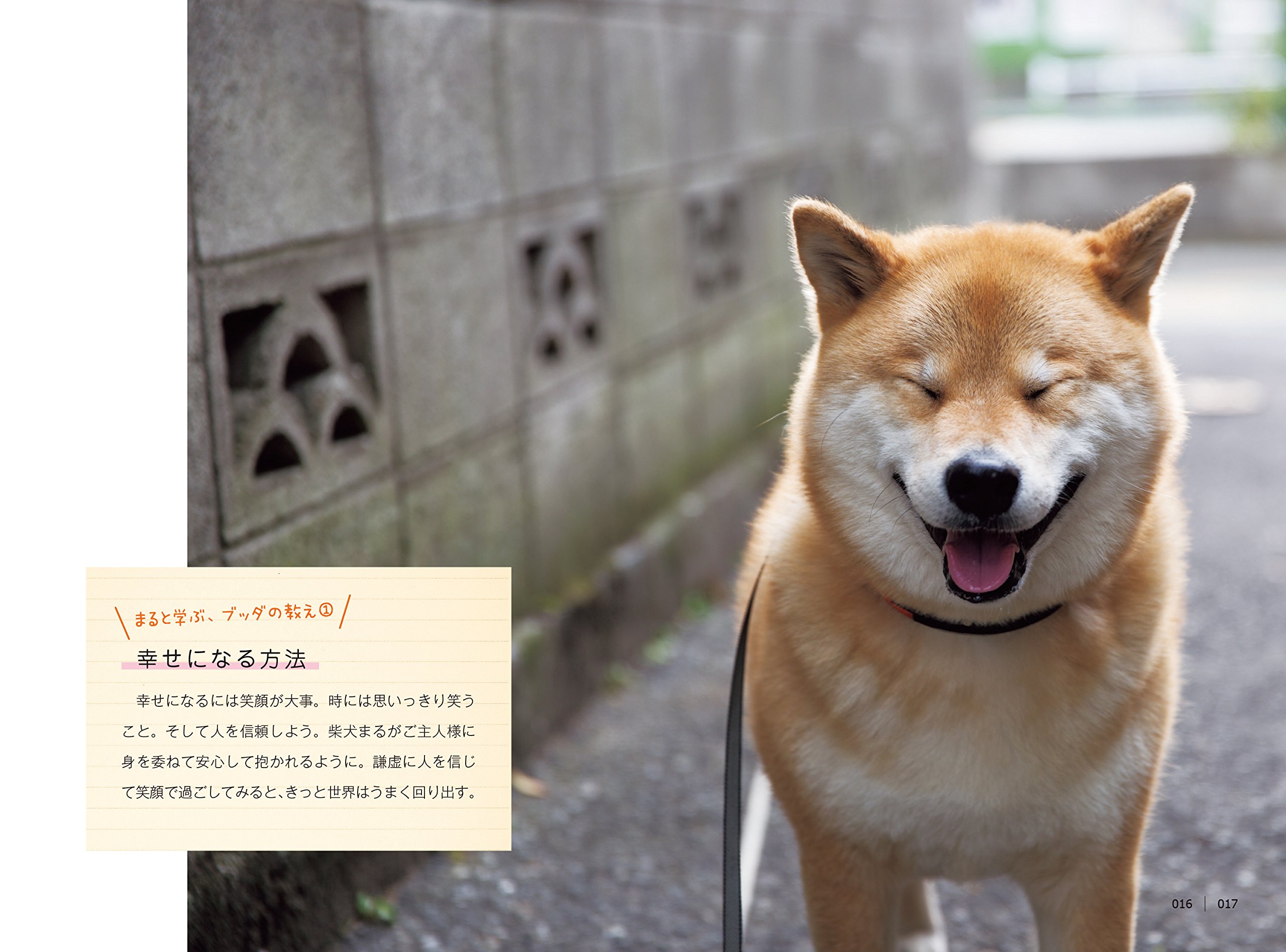 柴犬まるのワン若心経 加藤朝胤 リベラル社 菅原こころ 小野慎二郎 配送料無料