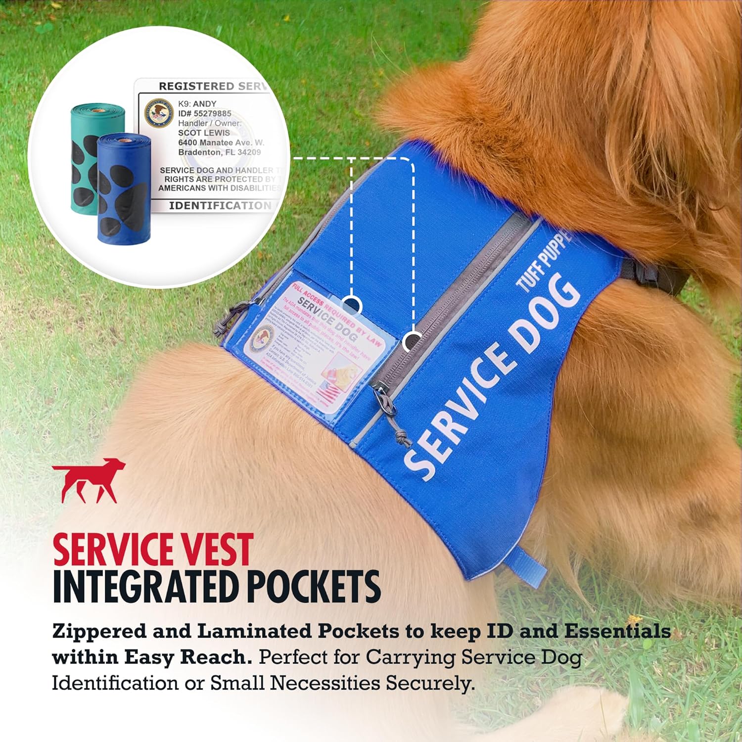 Tuff Pupper Service Dog Vest with ID Pocket | No Leash Attachment | Quick-Release Magnetic Buckles | Reflective Trim | Adjustable Fit | Comfortable & Durable | Designed for Small Dogs (Blue, Large)